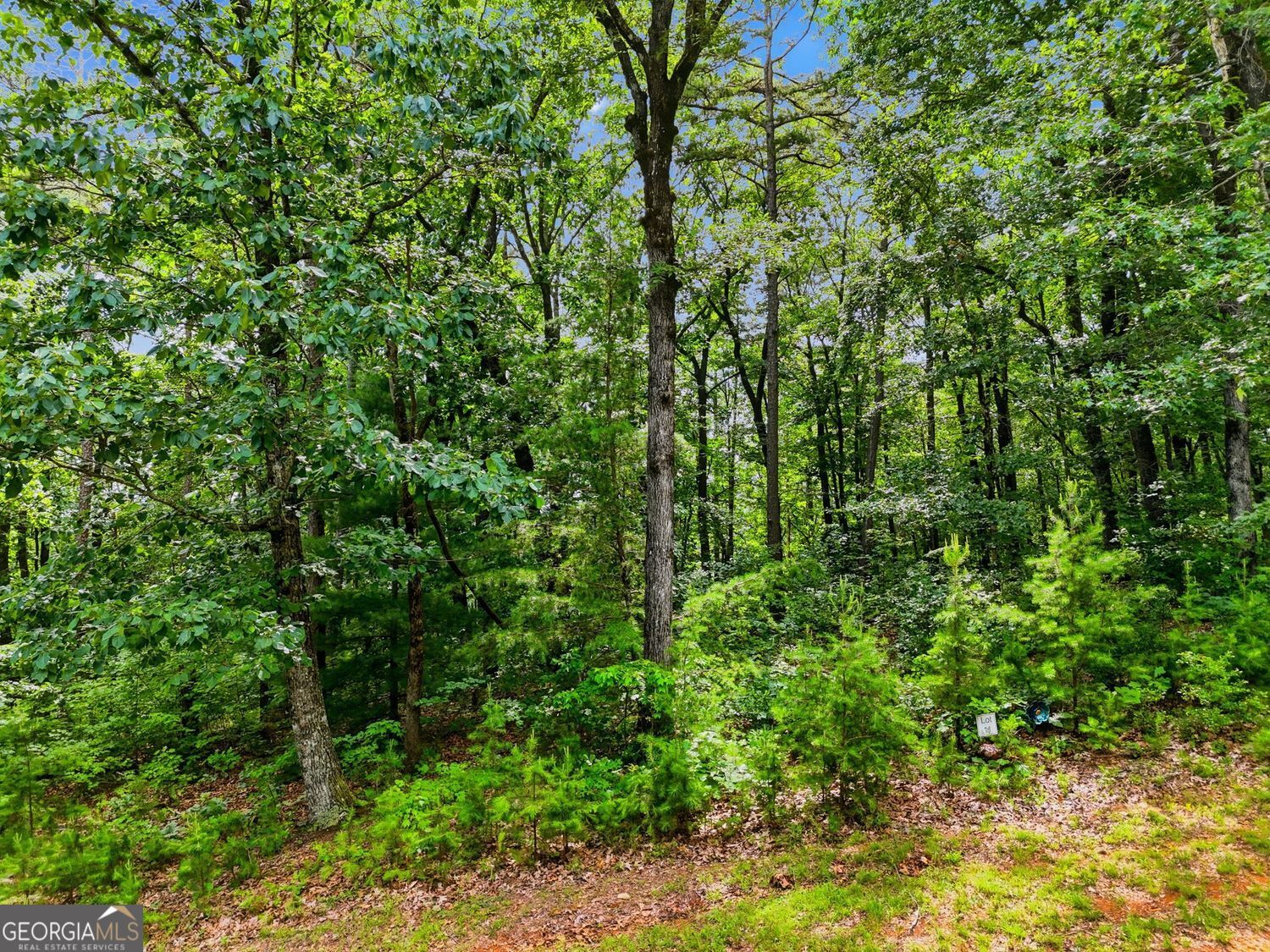 Lot 11 Weeks Drive Property Photo 14