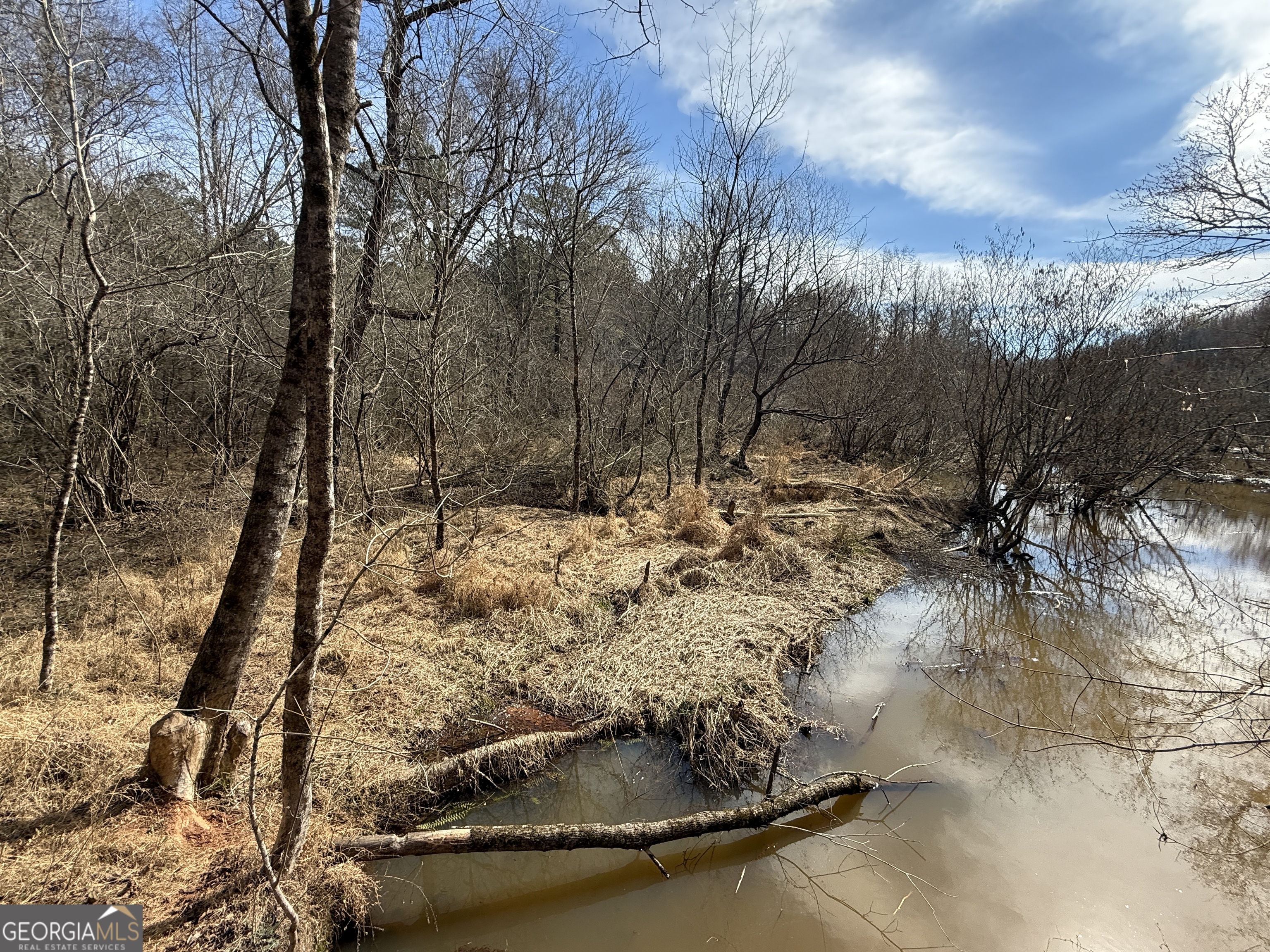 4.5 Acres Whatley Road N Property Photo 1