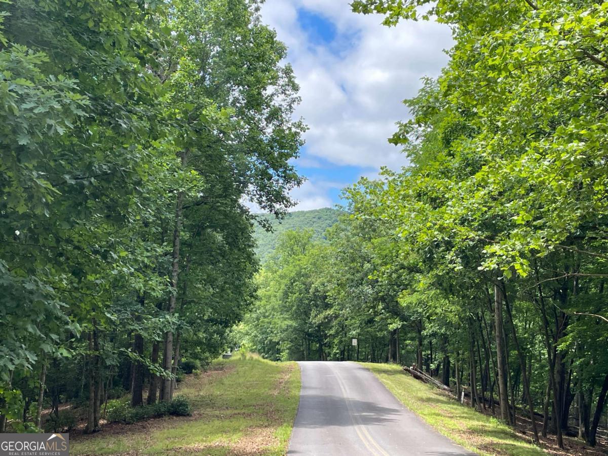 Lot 57 Asheland Overlook # 57 Property Photo 1