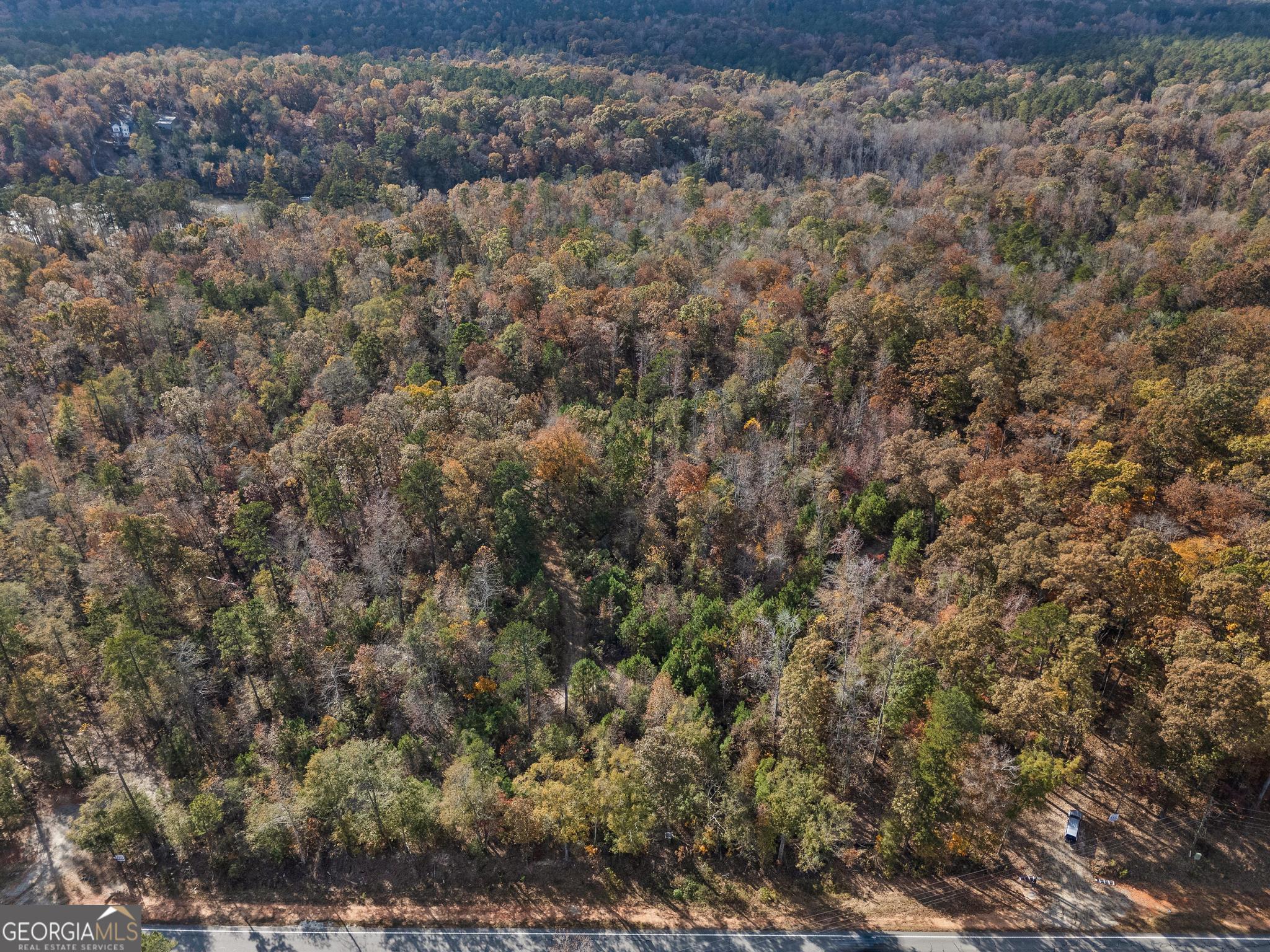 11650 Highway 212 Property Photo 6