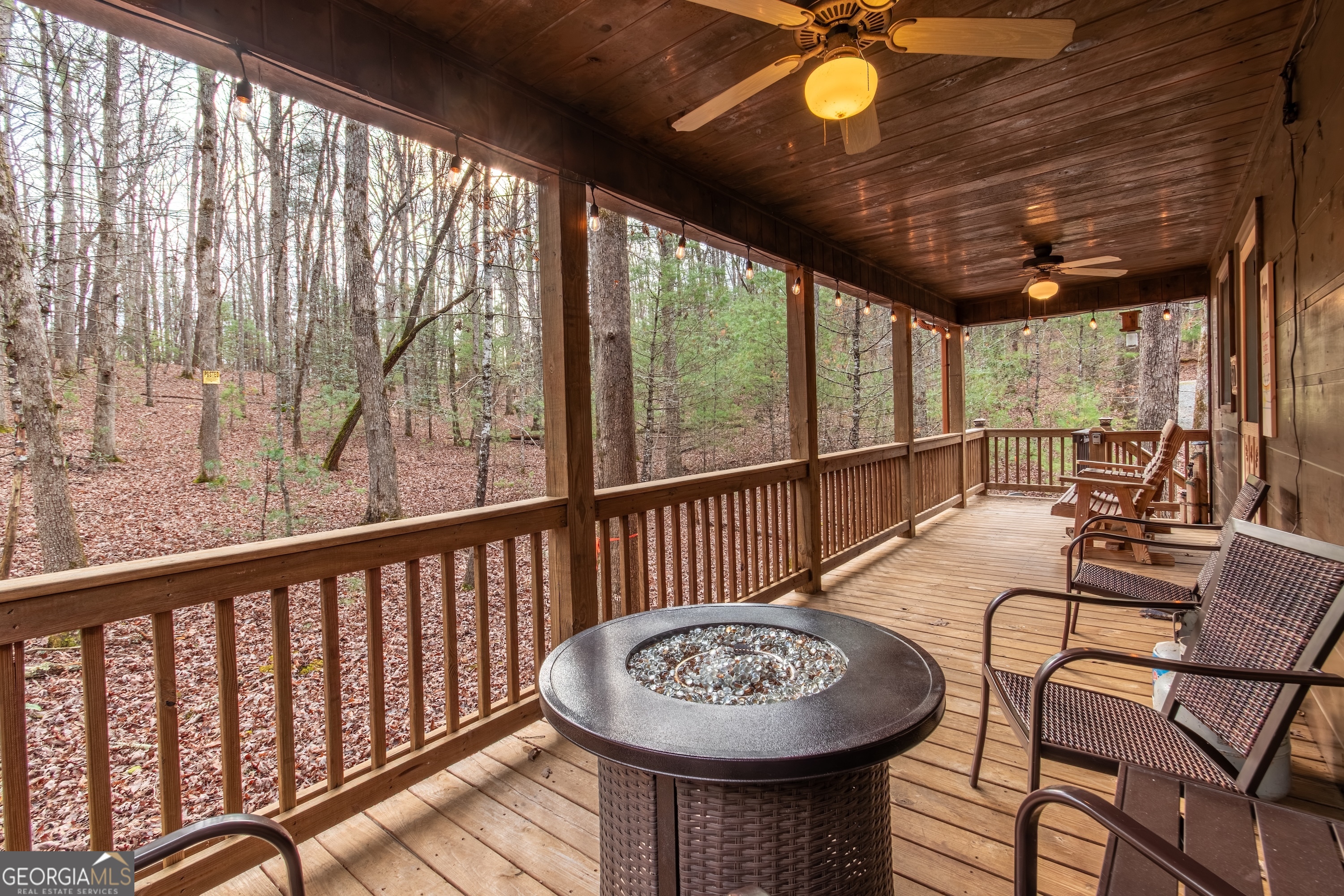 850 Mountain Lake Circle Property Photo 38