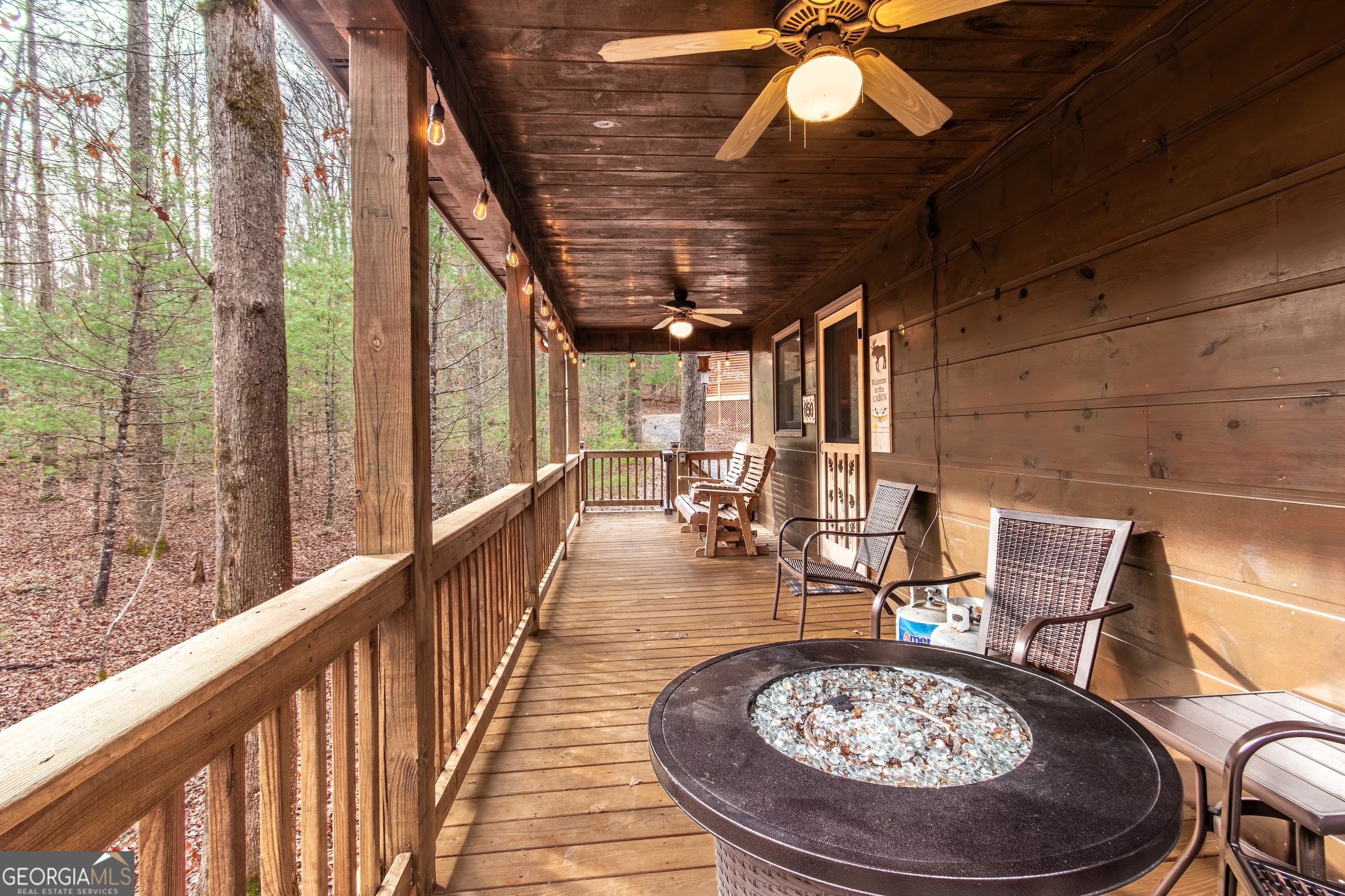 850 Mountain Lake Circle Property Photo 61