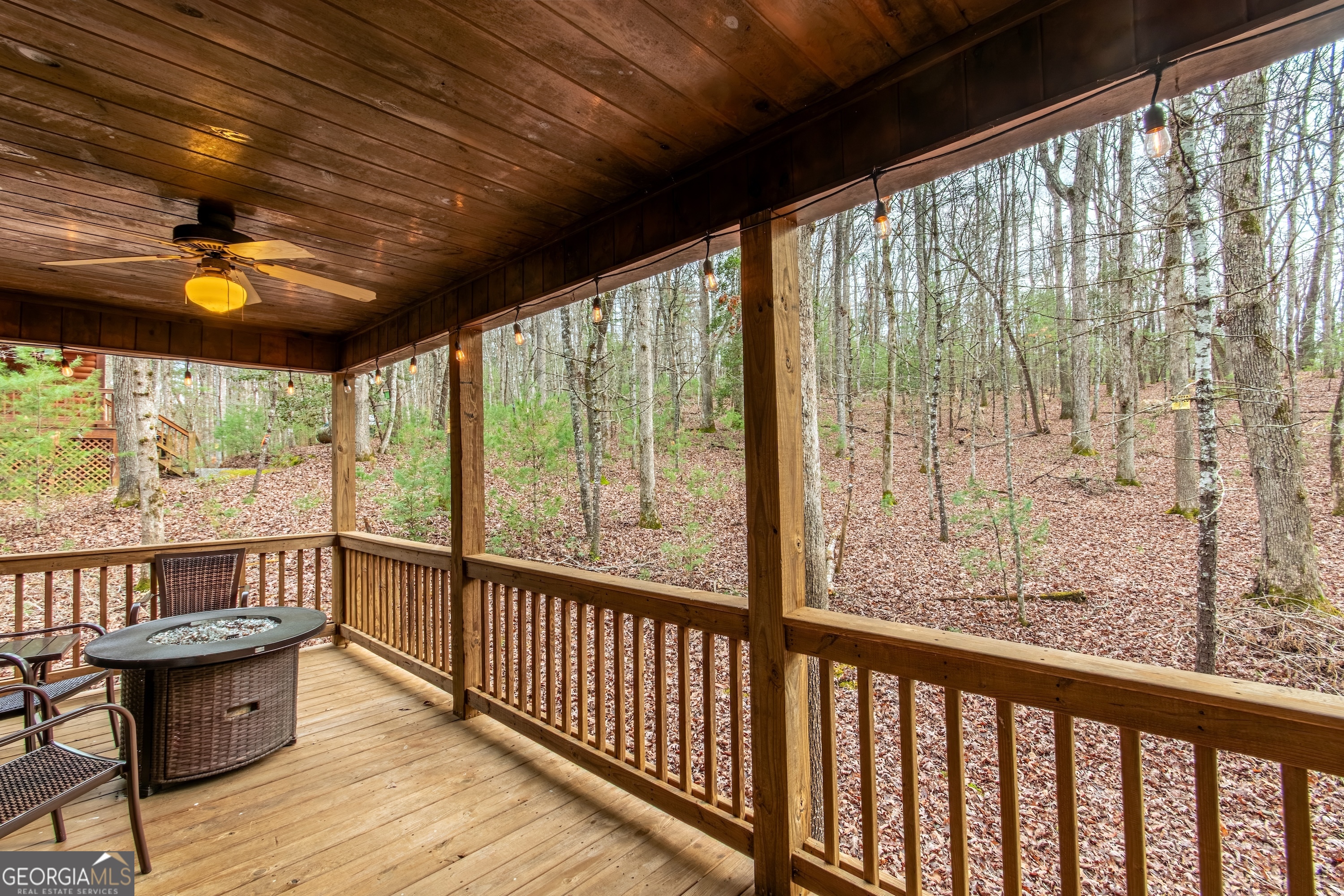 850 Mountain Lake Circle Property Photo 62