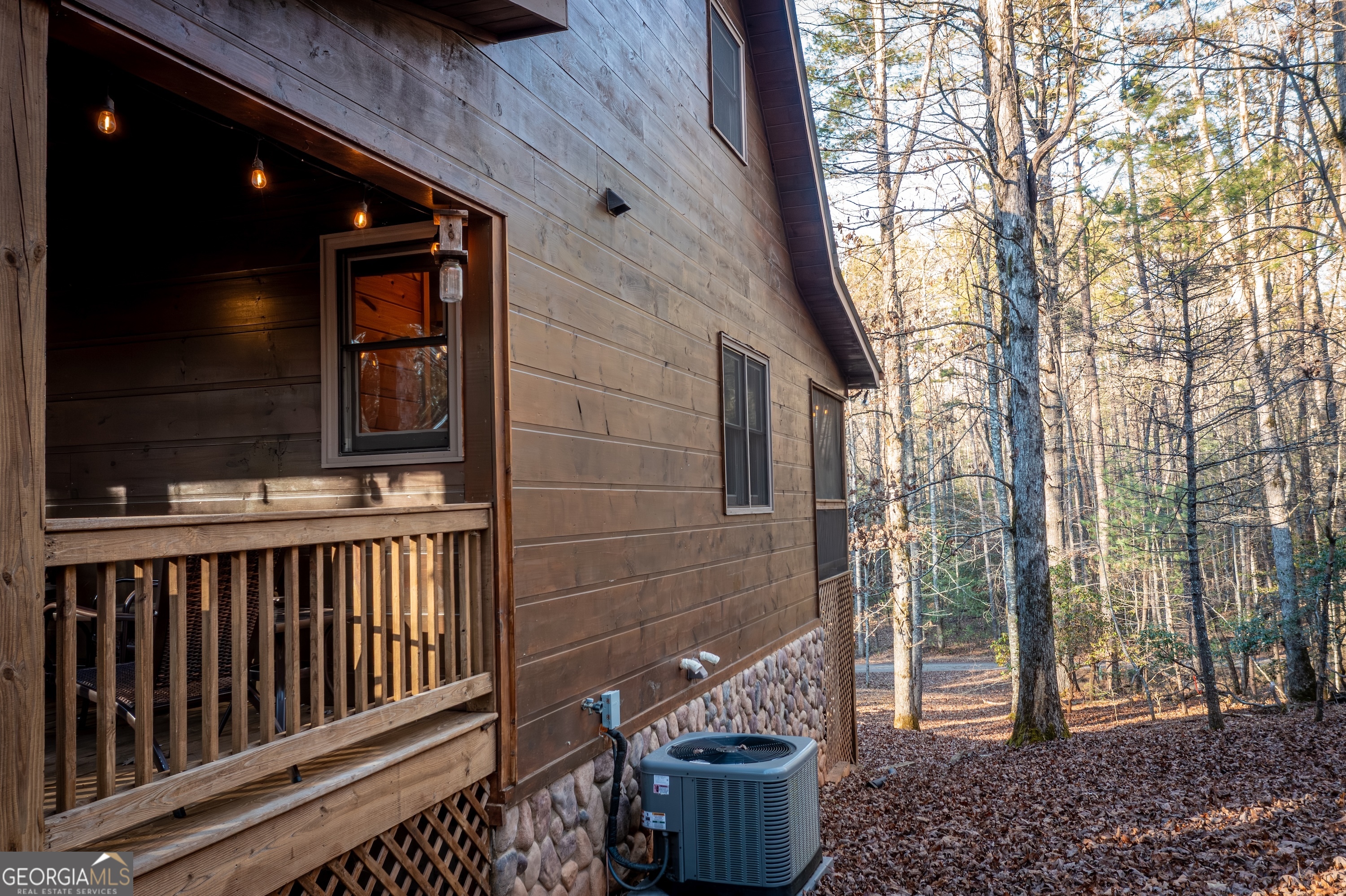 850 Mountain Lake Circle Property Photo 64