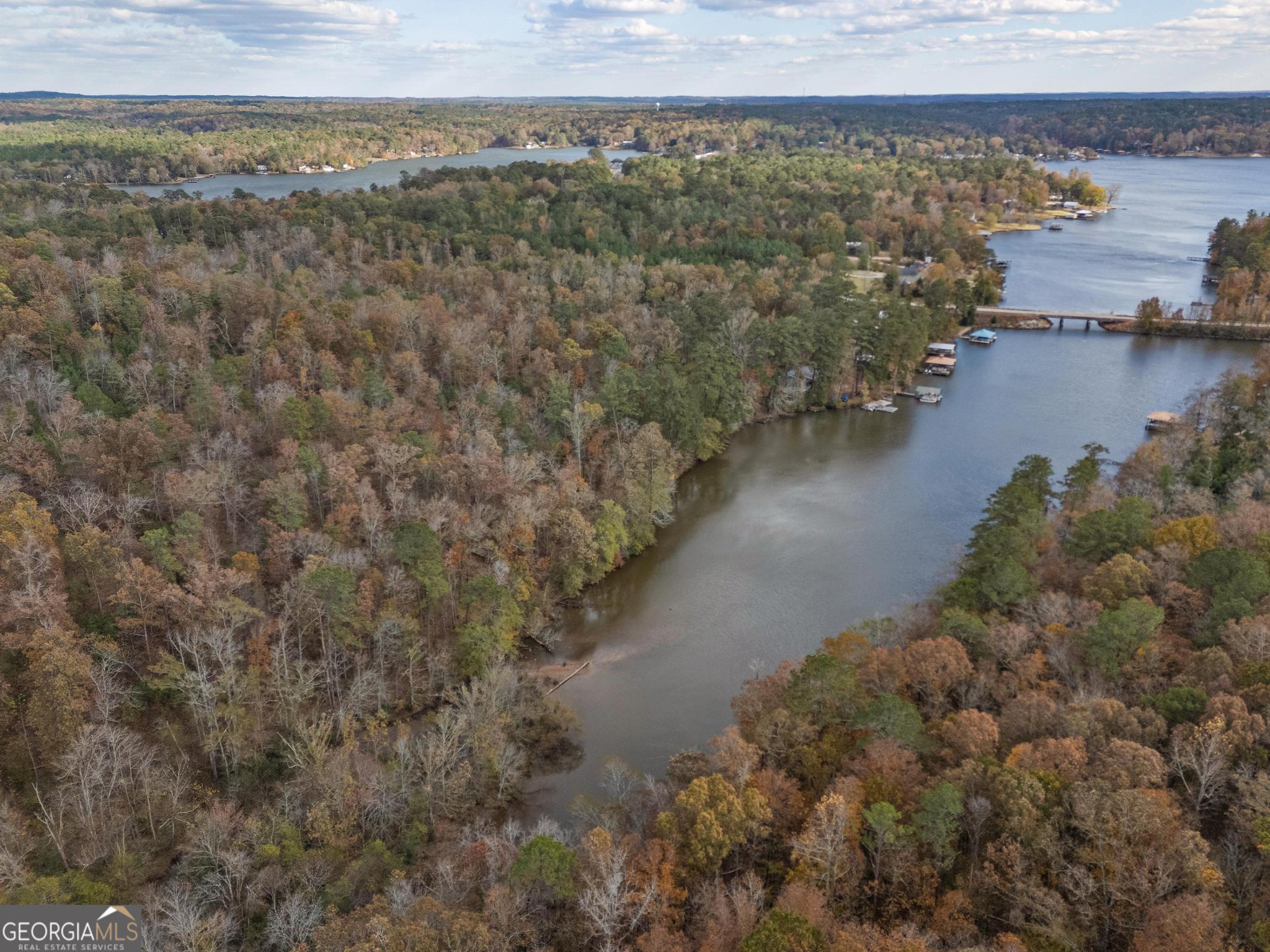 11500 Highway 212 Property Photo 2