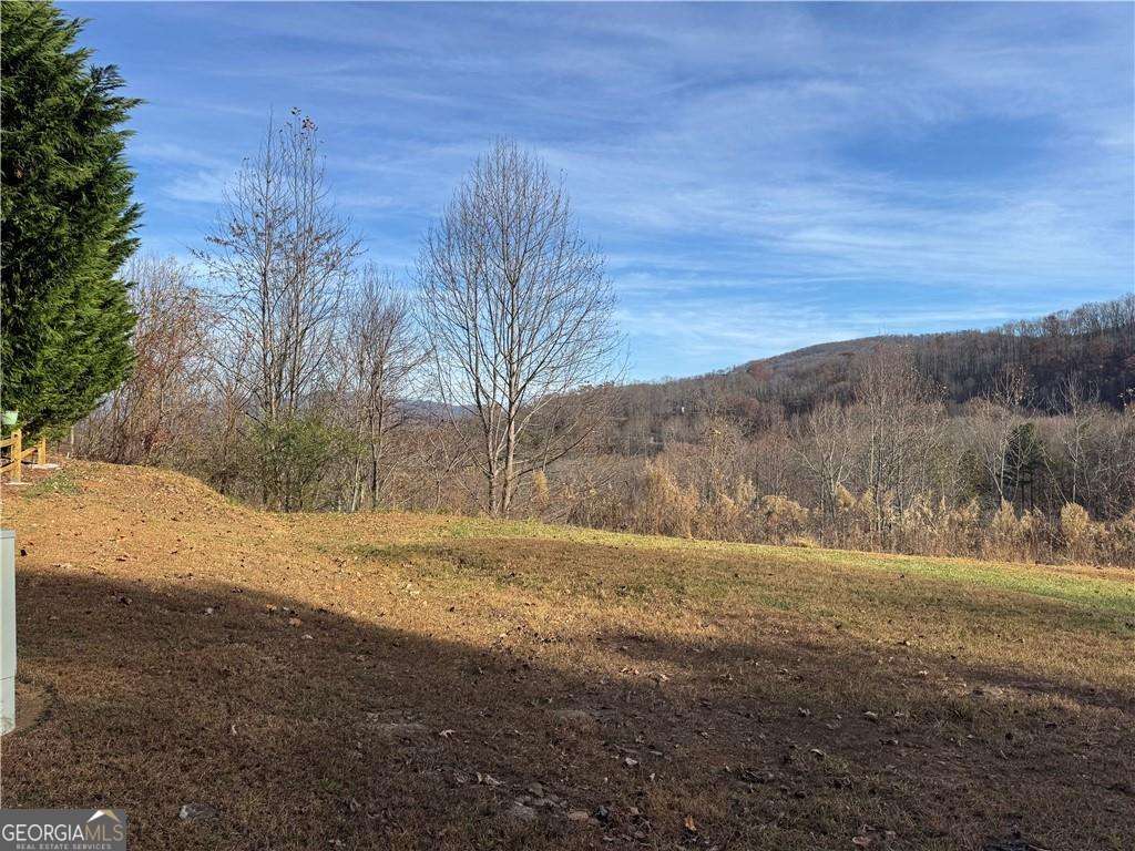 1220 Chatuge Manor Drive Property Photo 1