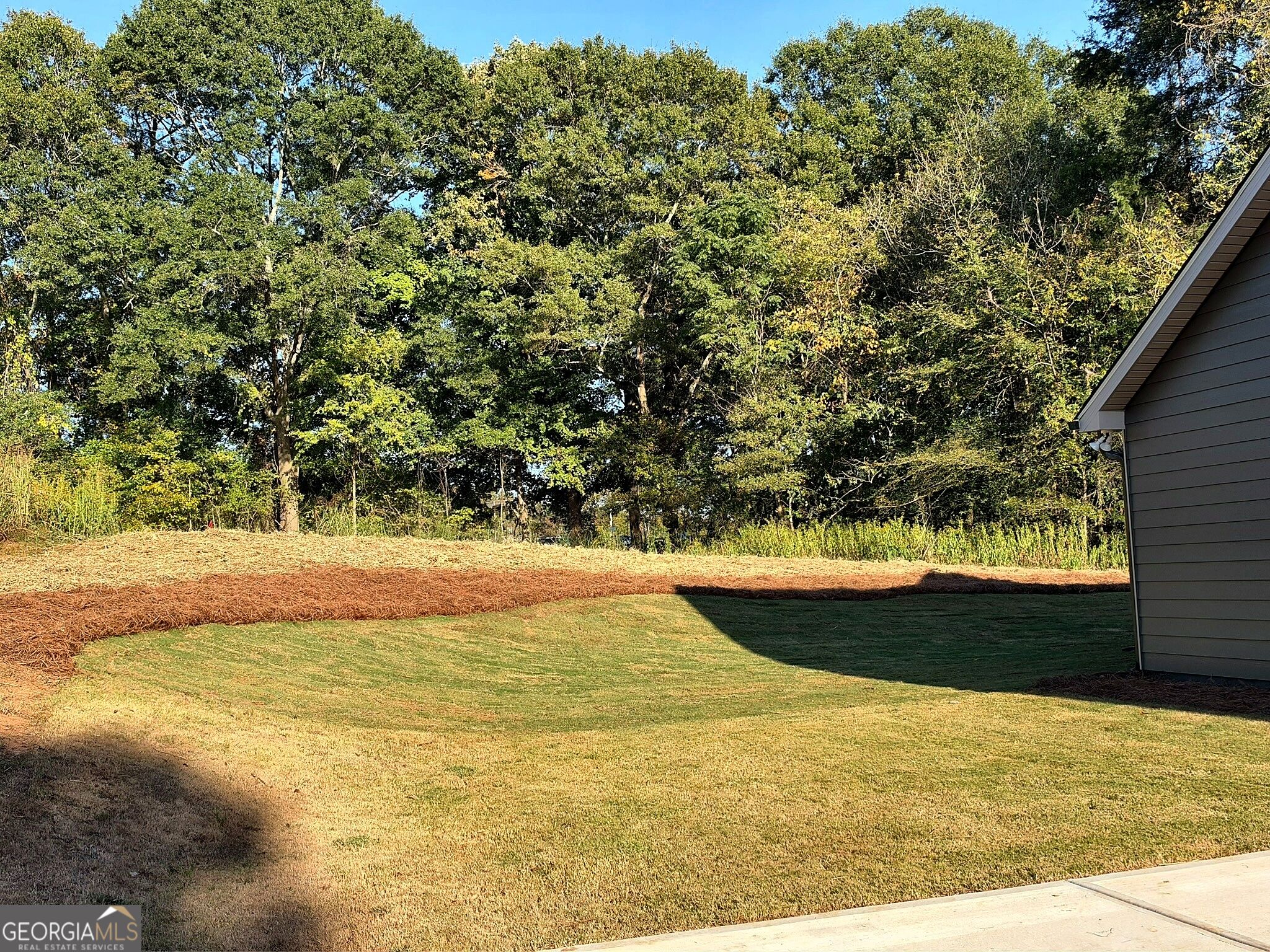 6376 Brockton Loop Property Photo 9