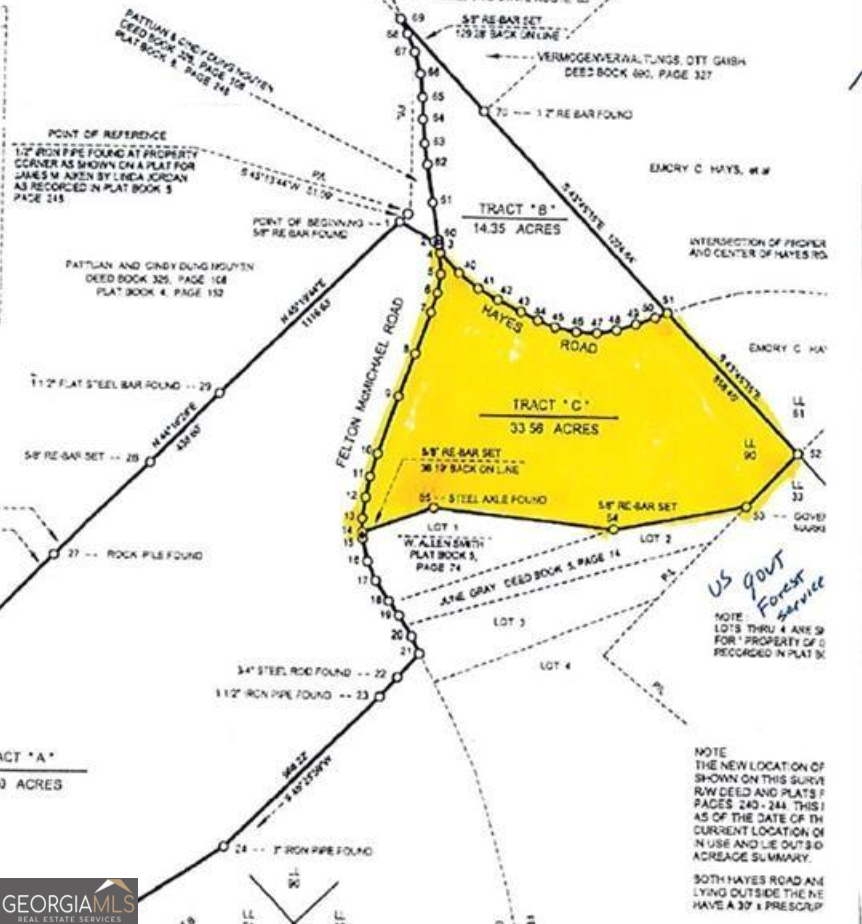 0 Felton Mcmichael Rd & Hayes - Landlot 090 Road Property Photo 1