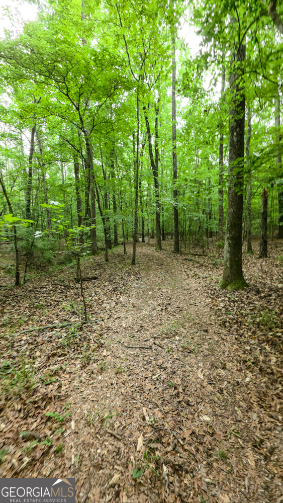 420 Padgett Road Property Photo 7