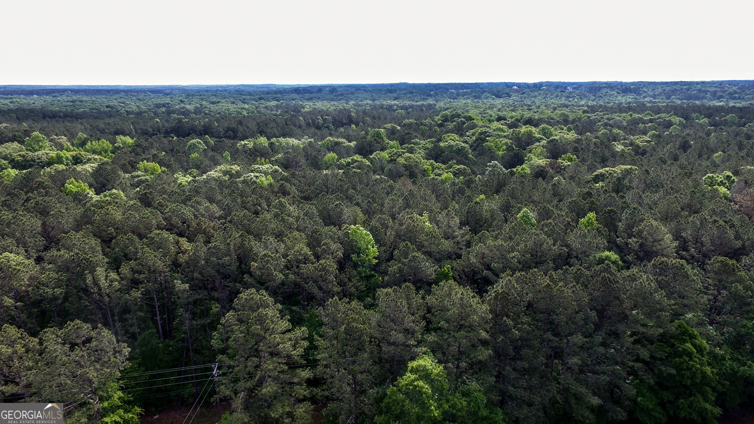 420 Padgett Road Property Photo 16