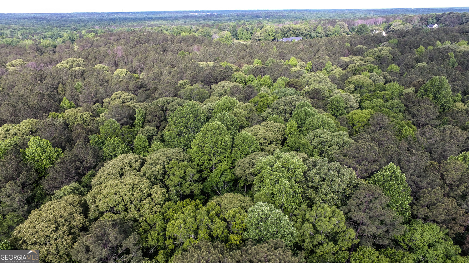 420 Padgett Road Property Photo 17