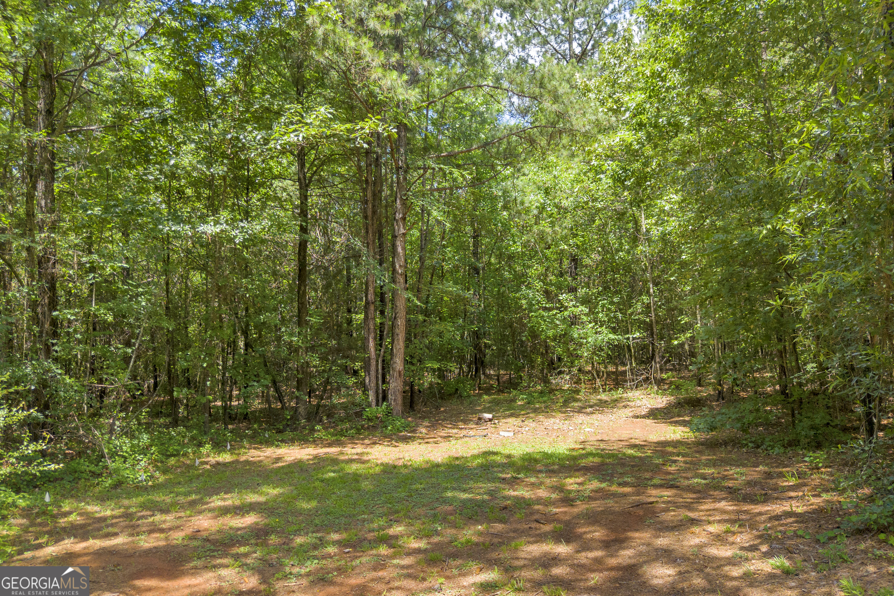 918 Sims Bridge Road Property Photo 43