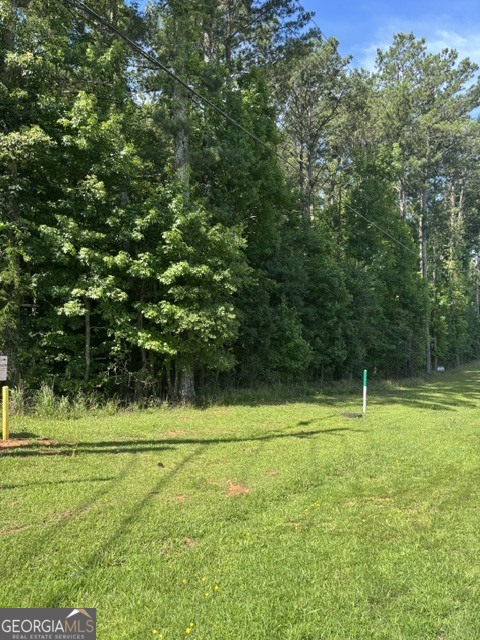 803 Squirrel Hollow Road