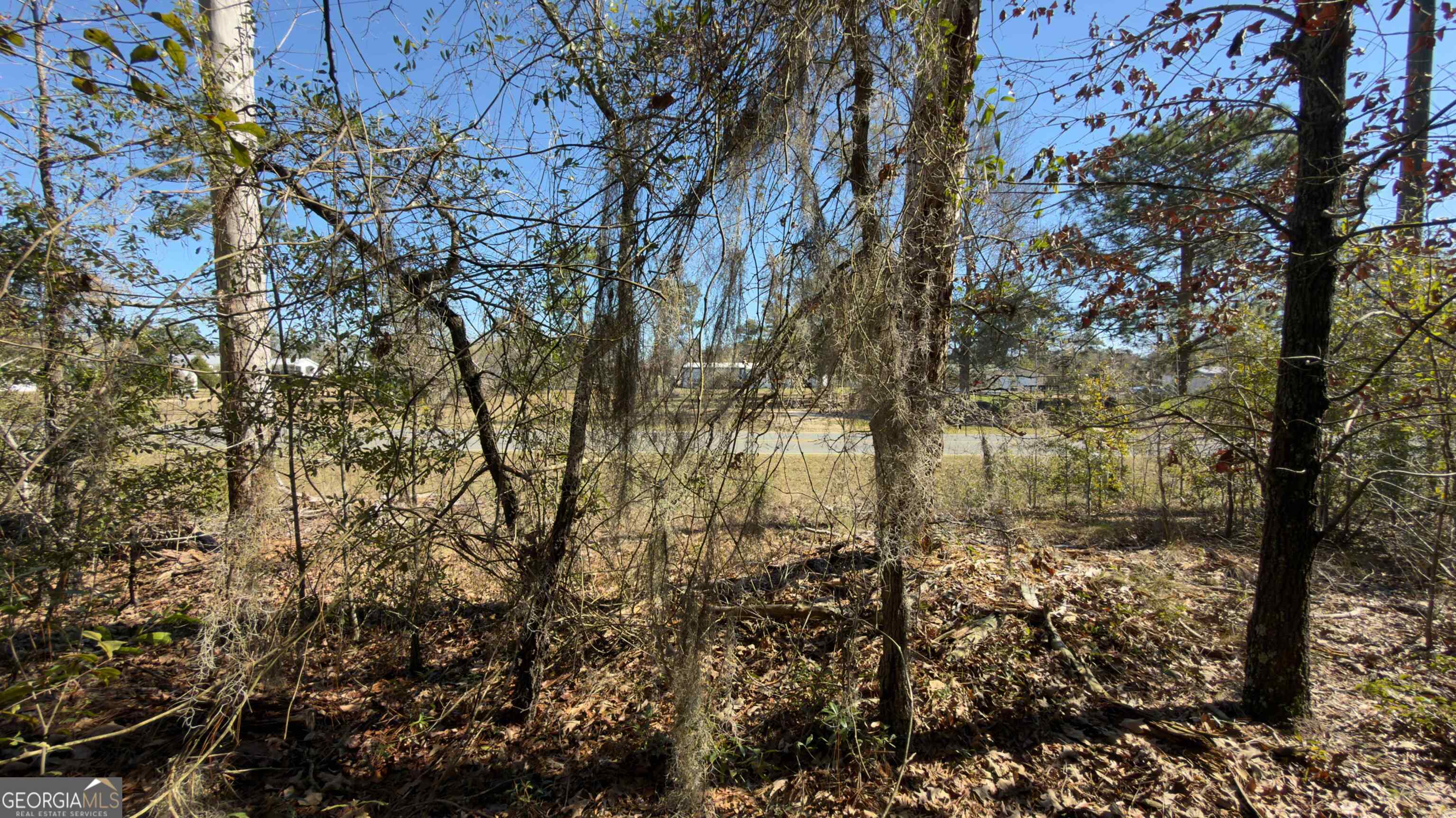 8249 Lake Carroll Drive Property Photo 14