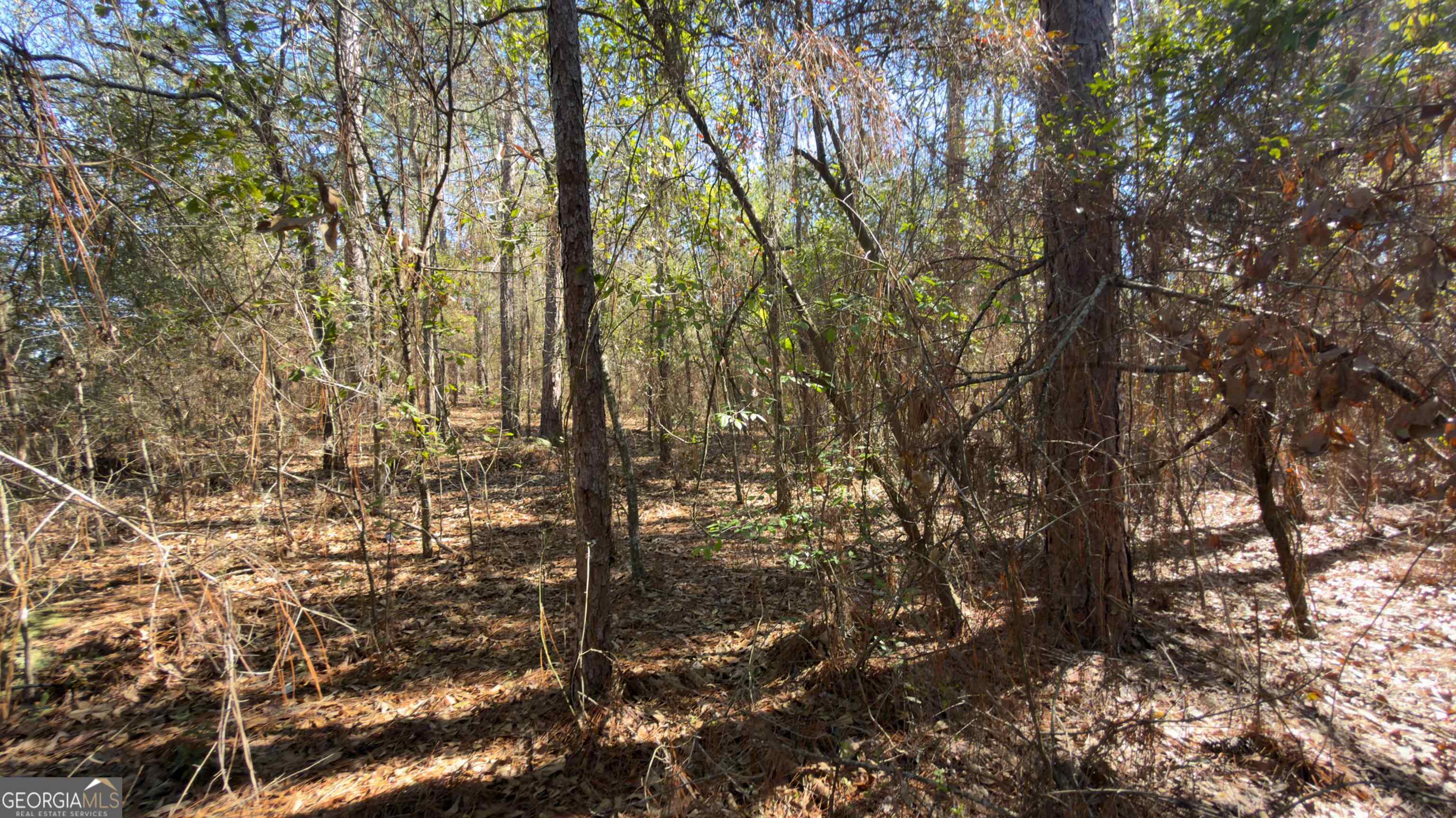 8249 Lake Carroll Drive Property Photo 32
