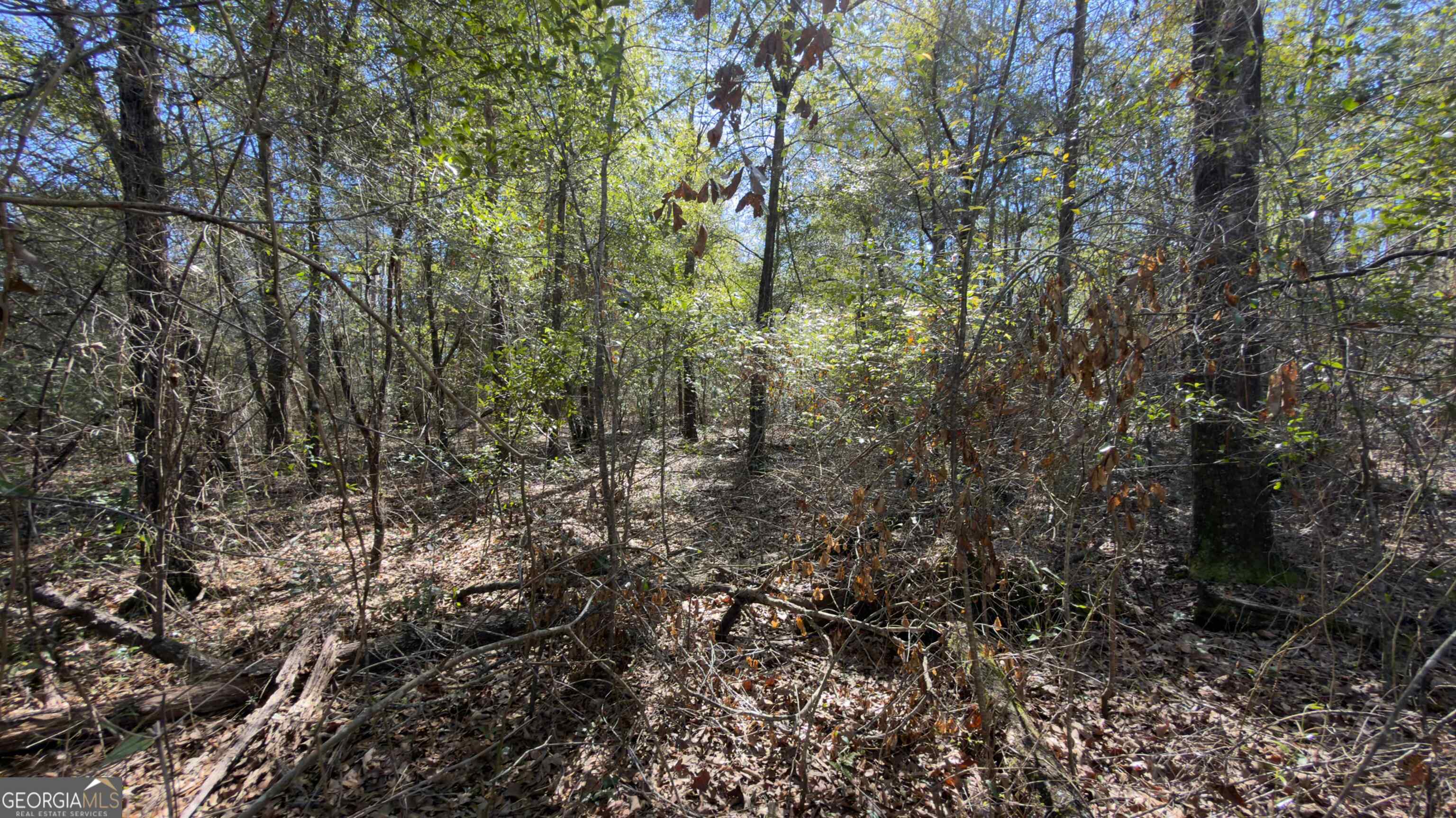 8249 Lake Carroll Drive Property Photo 38