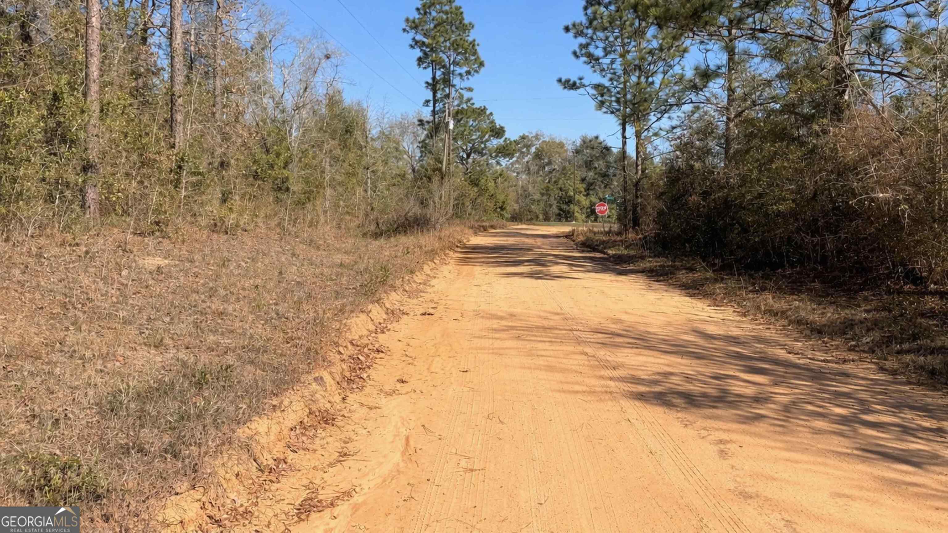 8249 Lake Carroll Drive Property Photo 41
