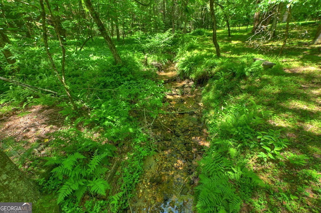 6385 Hwy 2 Property Photo 10