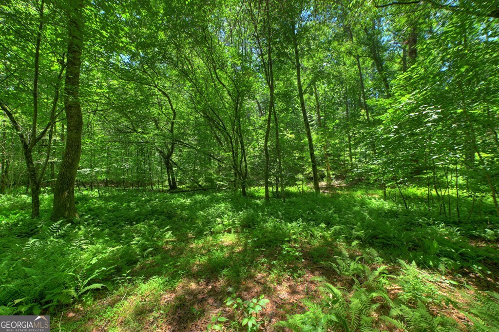 6385 Hwy 2 Property Photo 12
