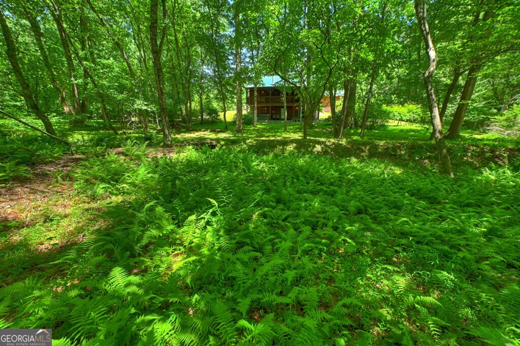 6385 Hwy 2 Property Photo 13