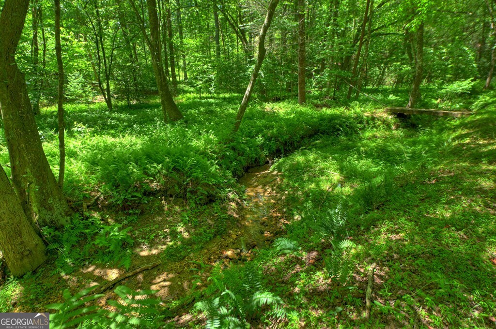 6385 Hwy 2 Property Photo 14