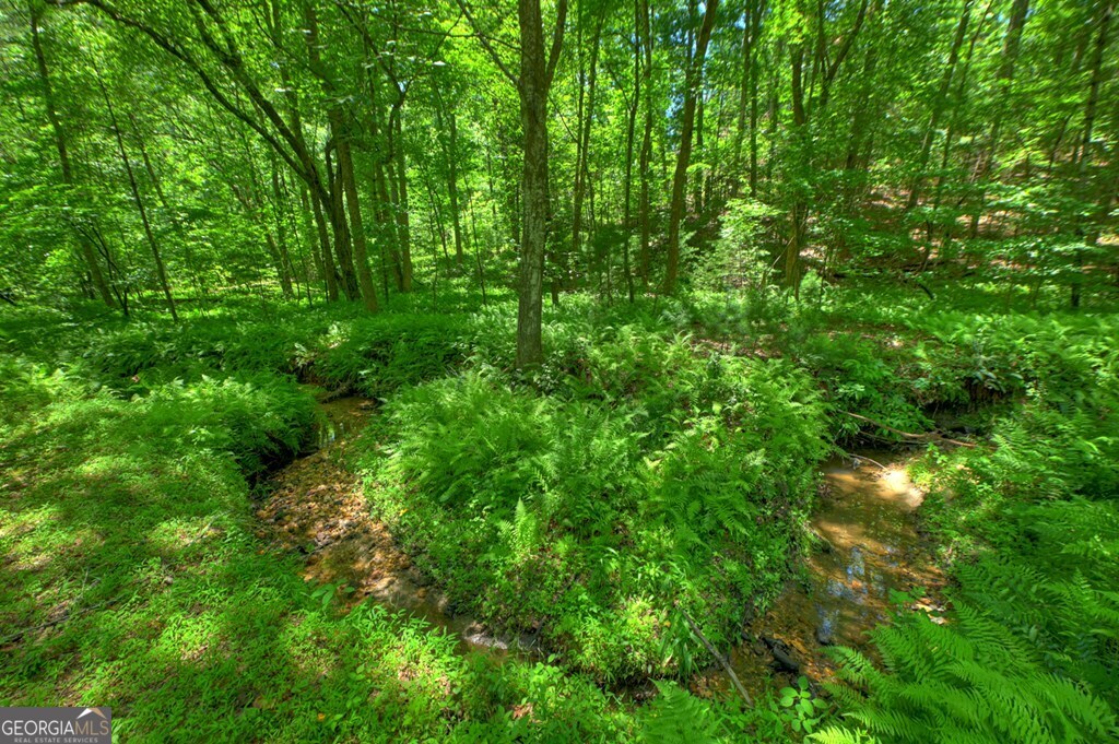 6385 Hwy 2 Property Photo 17