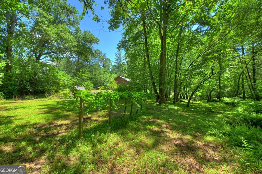 6385 Hwy 2 Property Photo 18