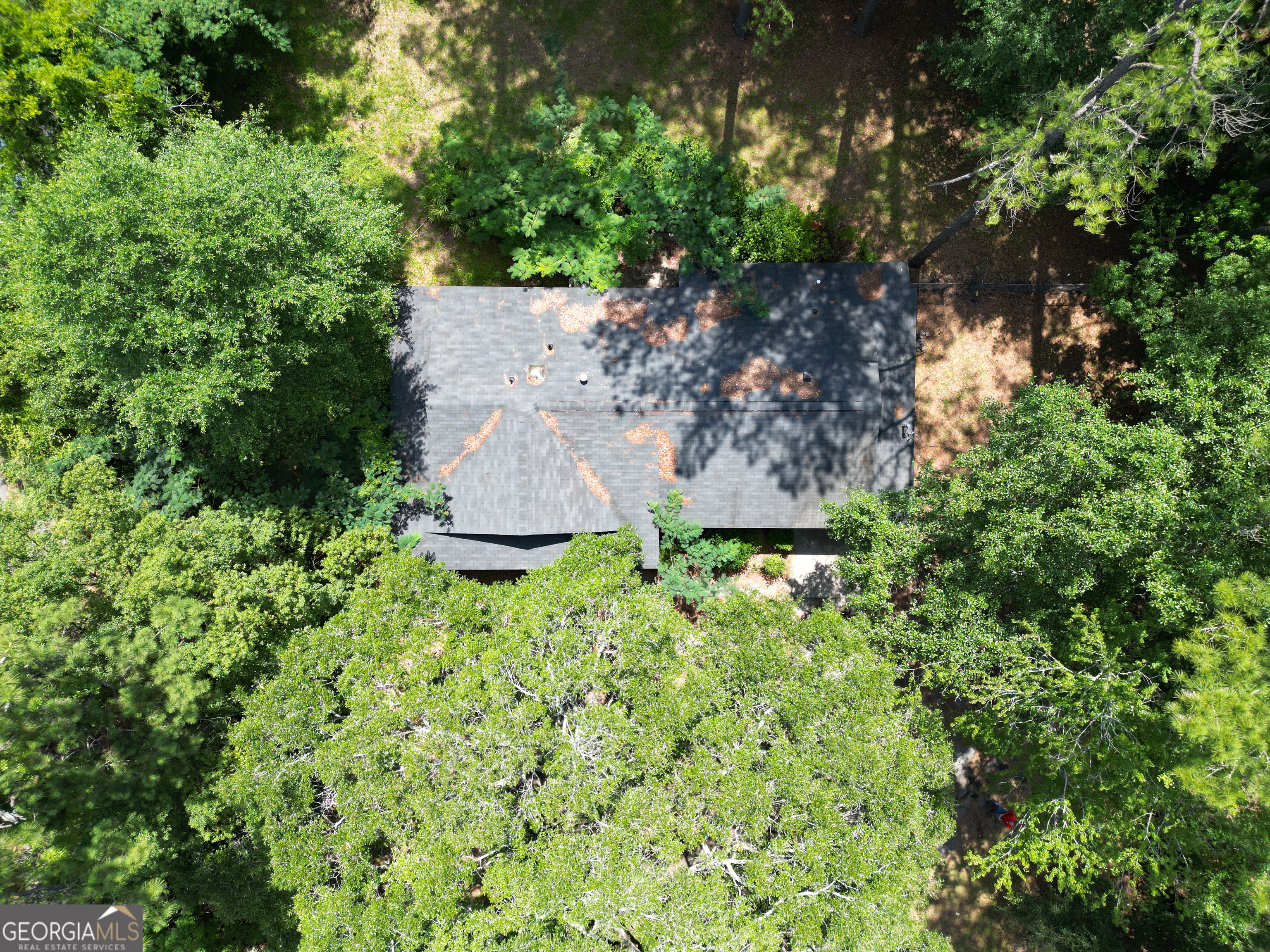 506 Oglethorpe Property Photo 34