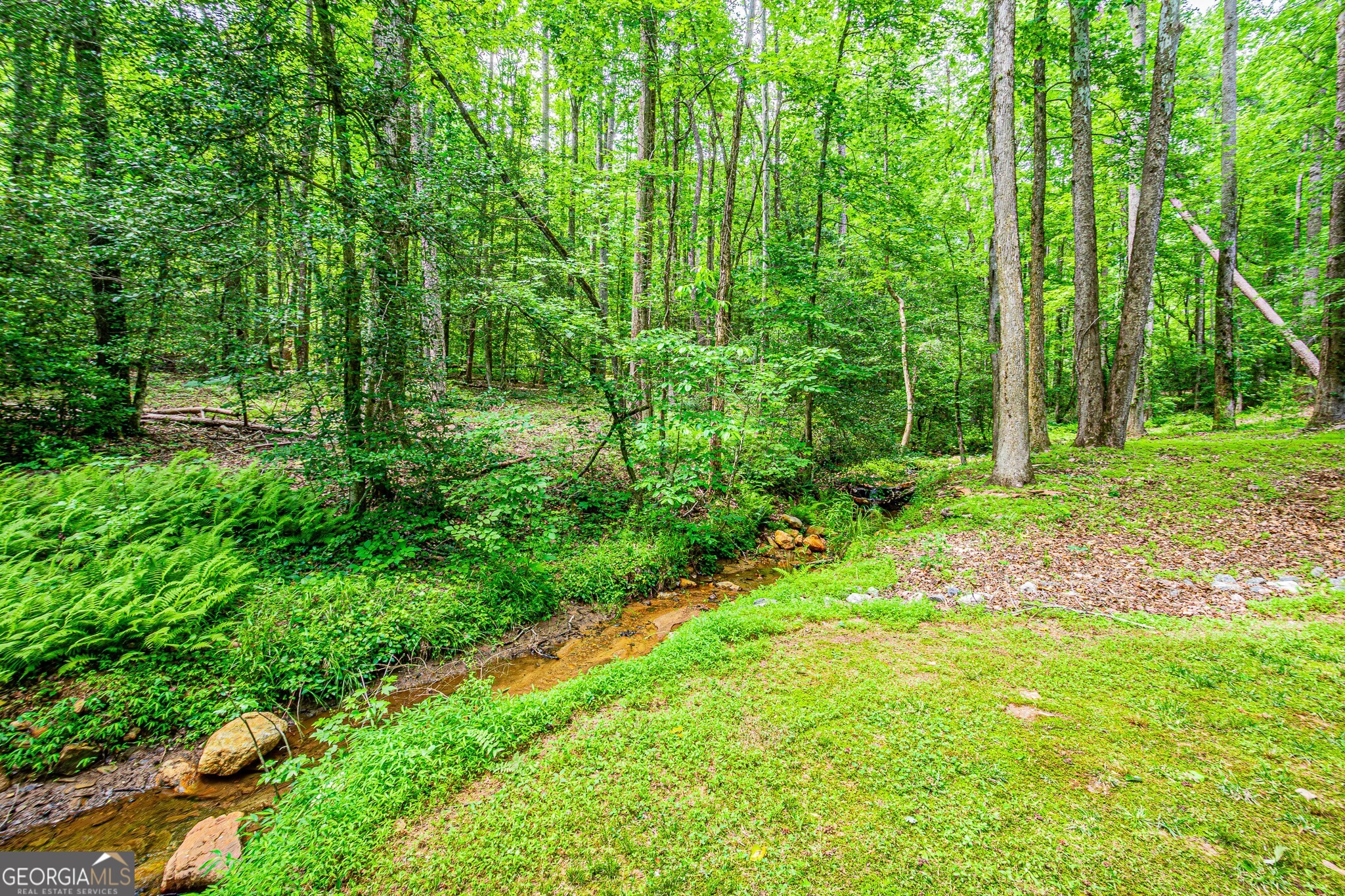 190 Still Road Property Photo 77