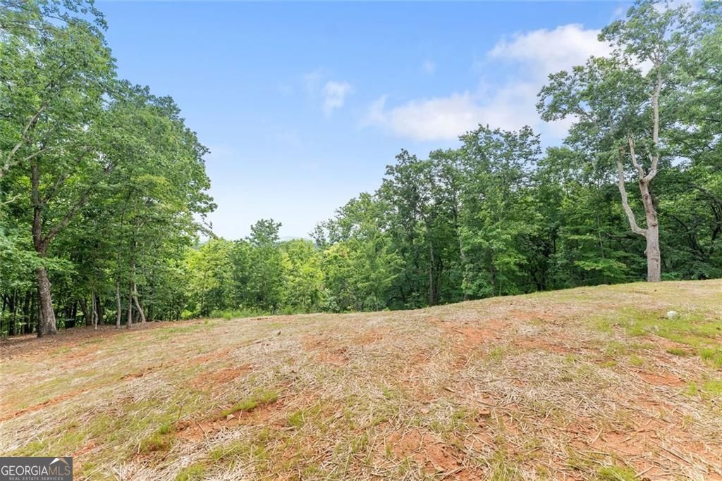 1055 S Laceola Road Property Photo 62