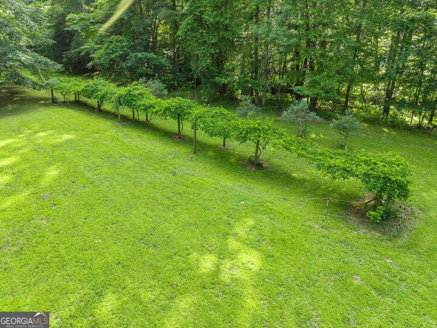 3300 Jim Moore Road Property Photo 79