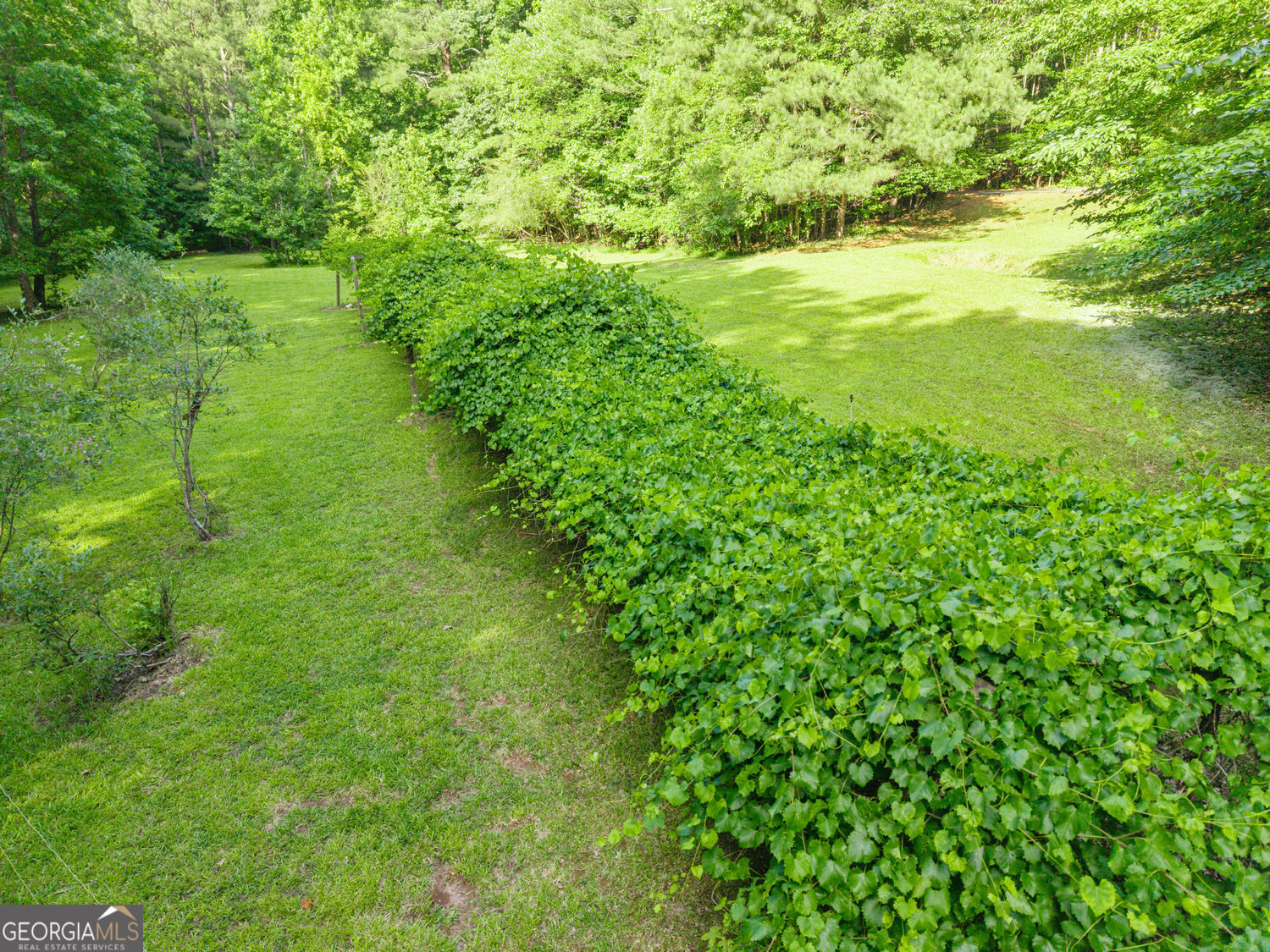 3300 Jim Moore Road Property Photo 80