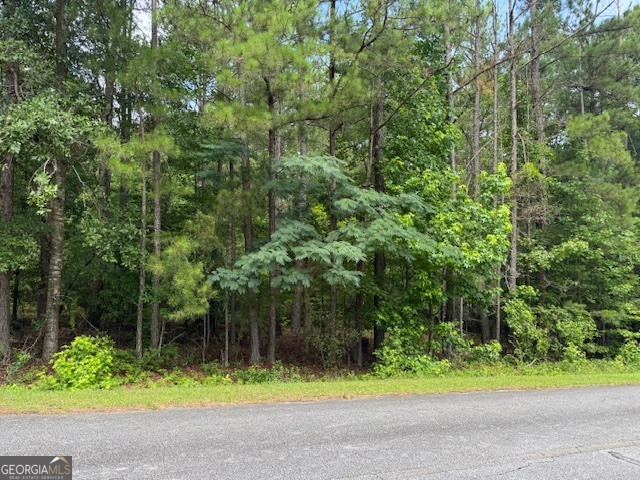 2320 Sofkee Circle Property Photo 6