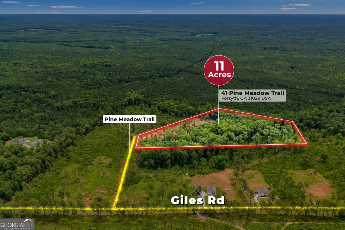 41 Pine Meadow Trail Property Photo 1