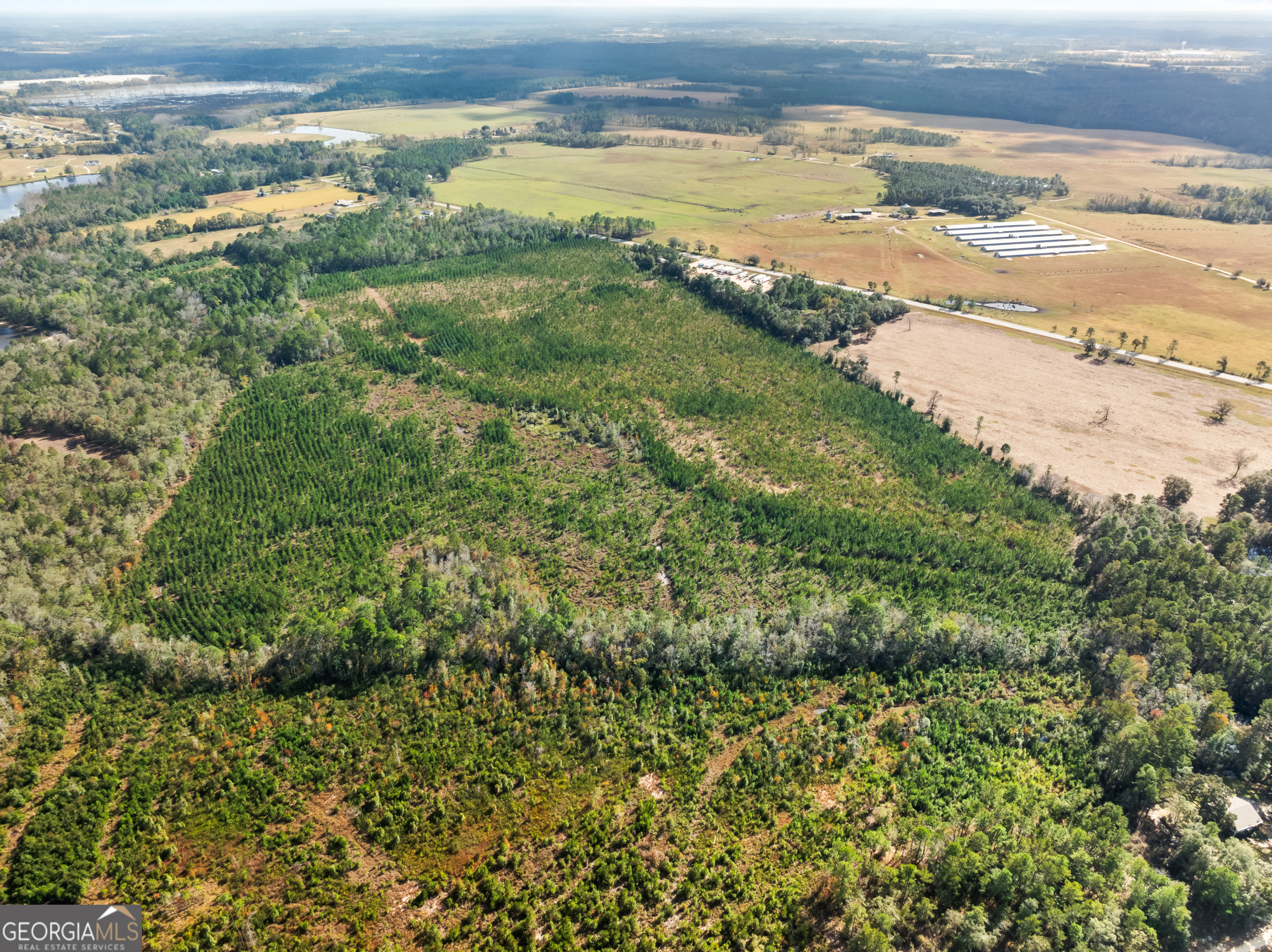 0 Highway 46 Property Photo 10