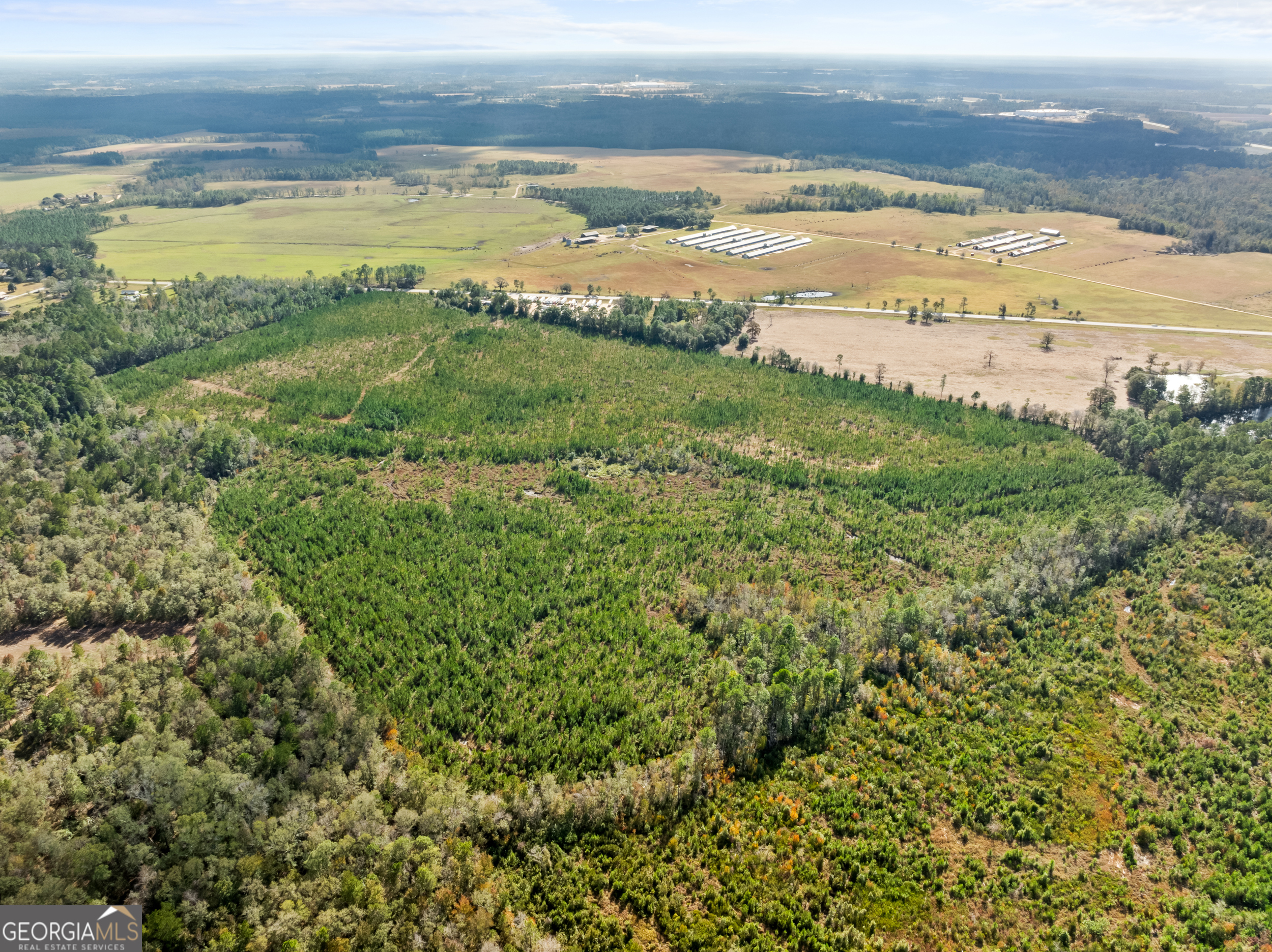 0 Highway 46 Property Photo 11