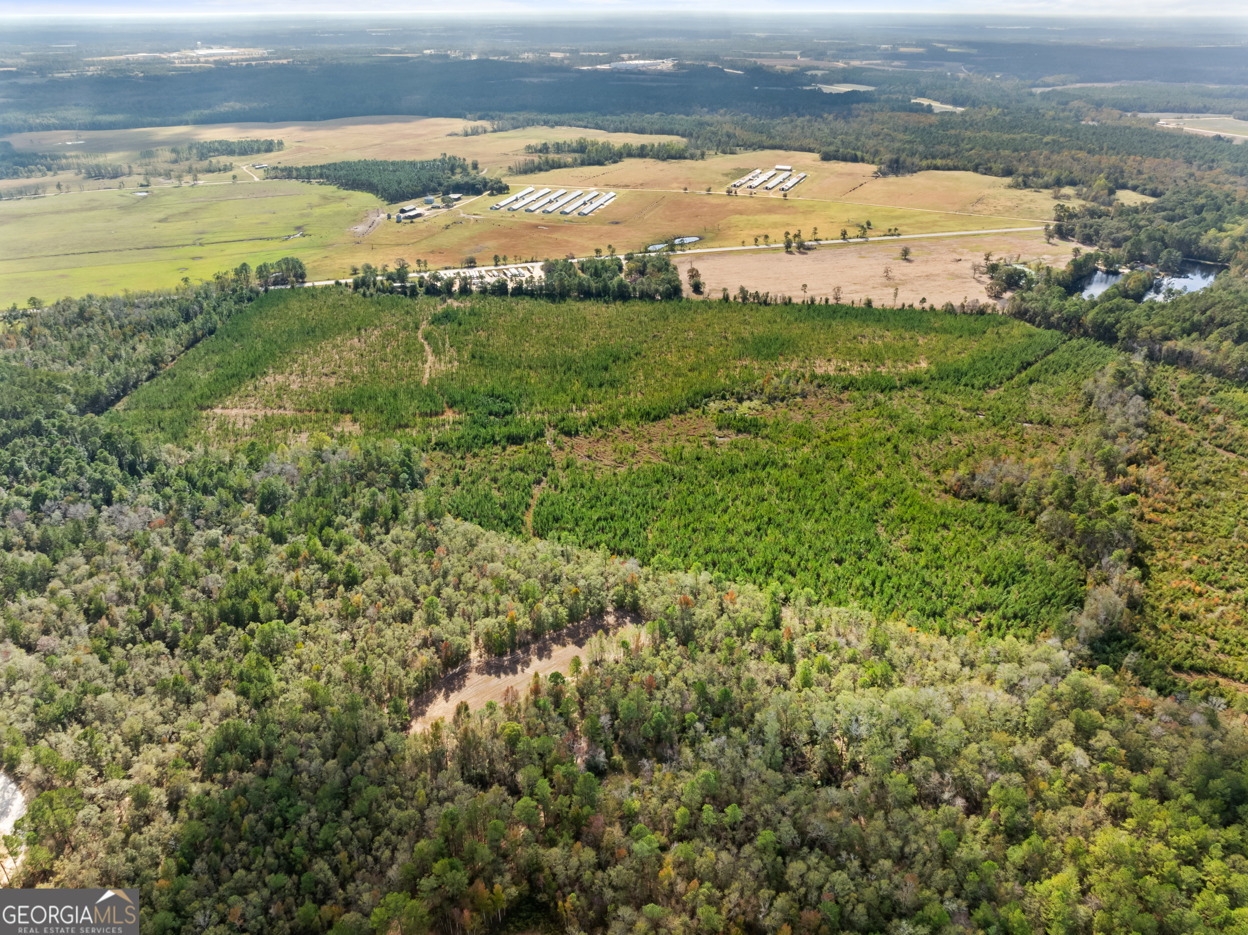 0 Highway 46 Property Photo 12