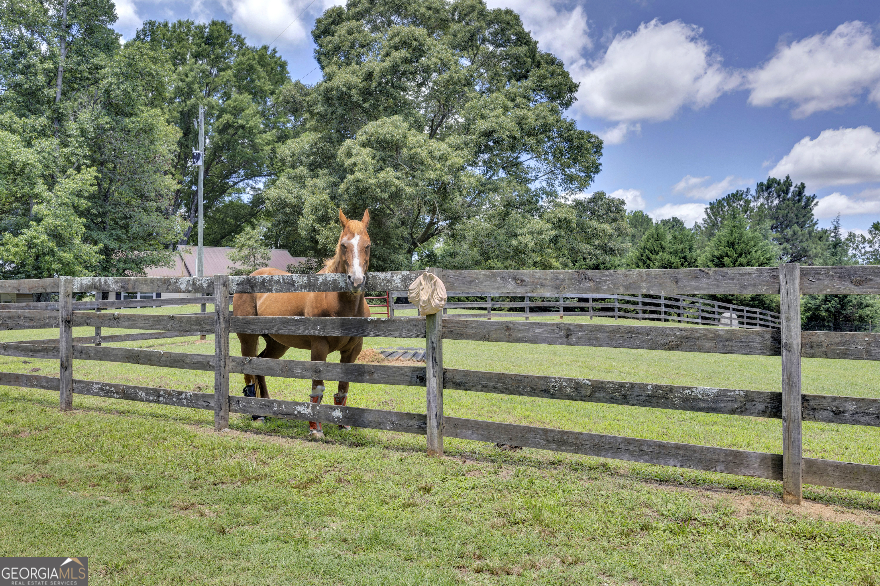 4133 H D Atha Road Property Photo 41