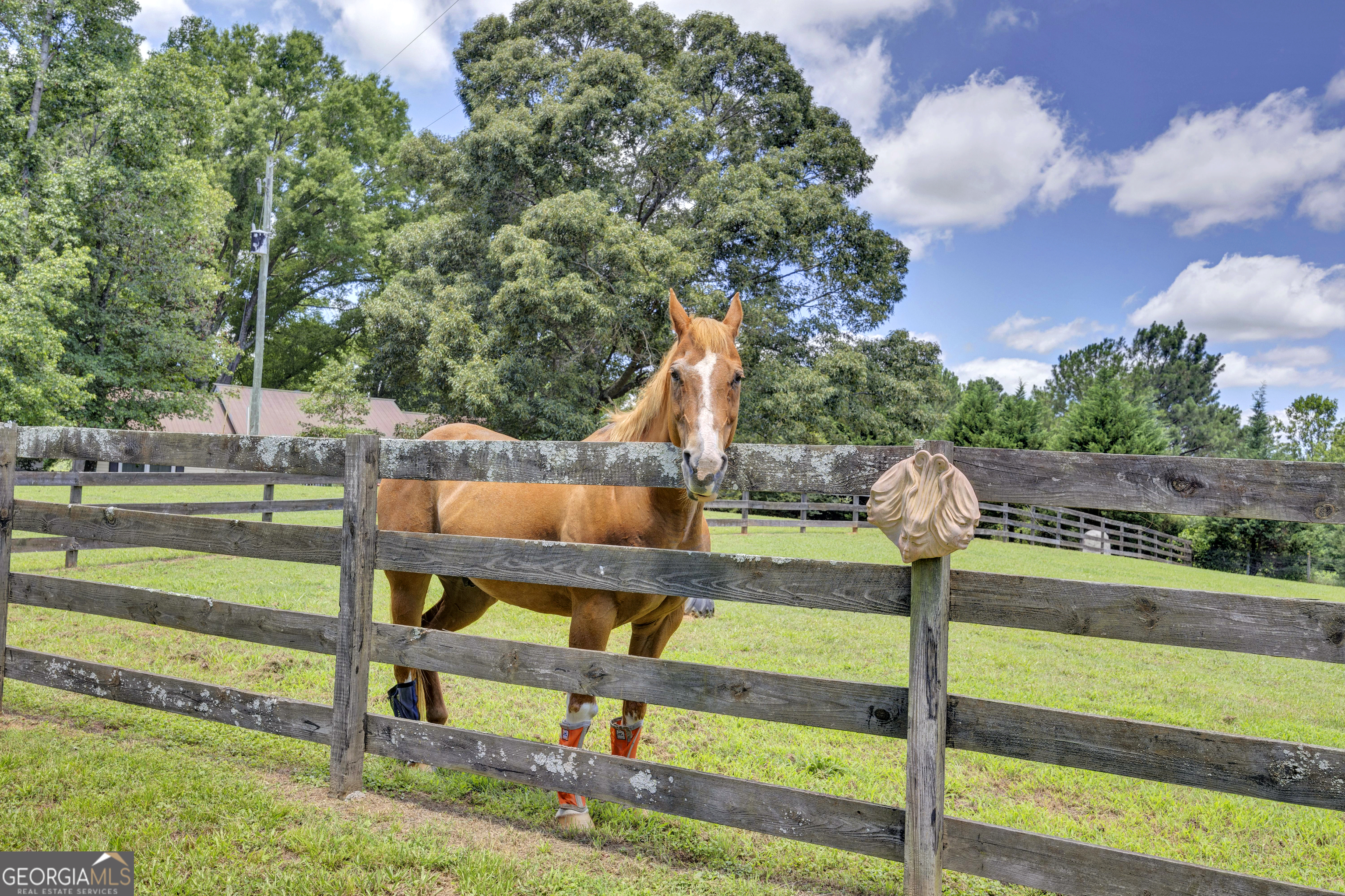 4133 H D Atha Road Property Photo 50
