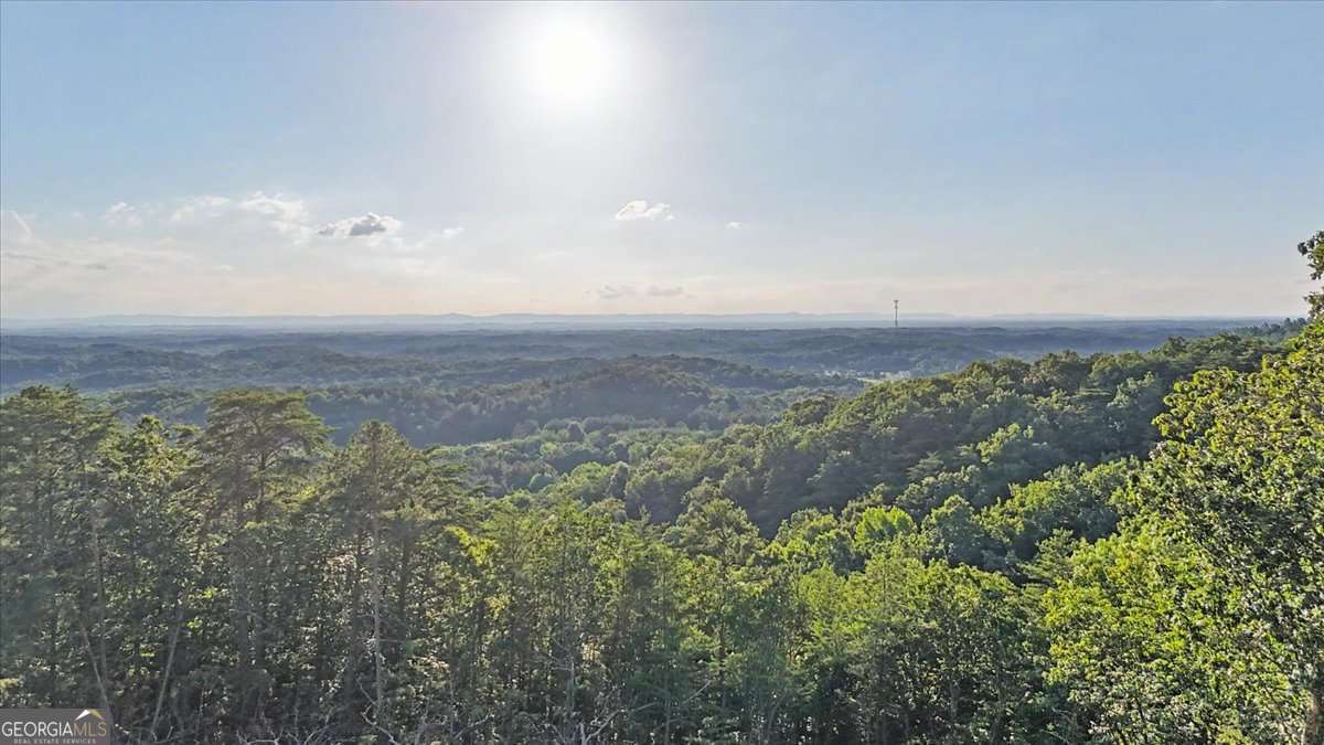 728 Railey Ridge Ne Property Photo 59