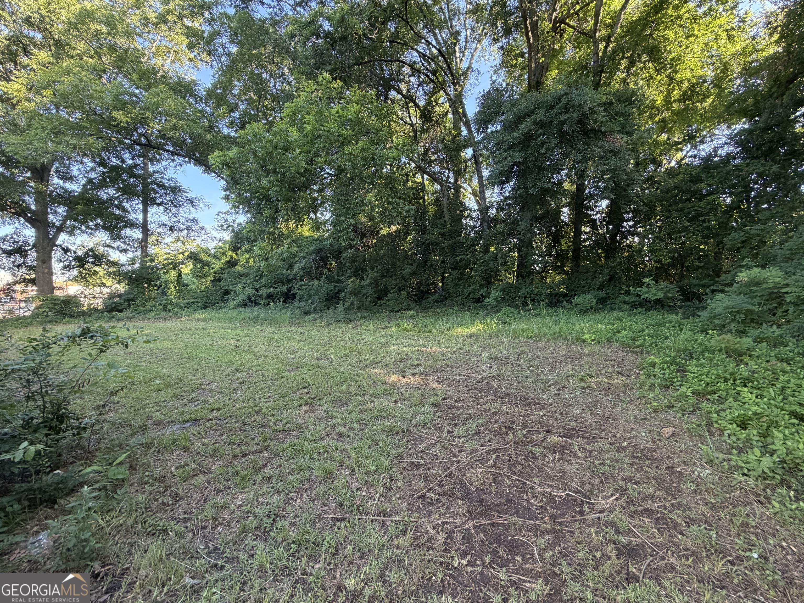523 E Solomon Street Property Photo 24