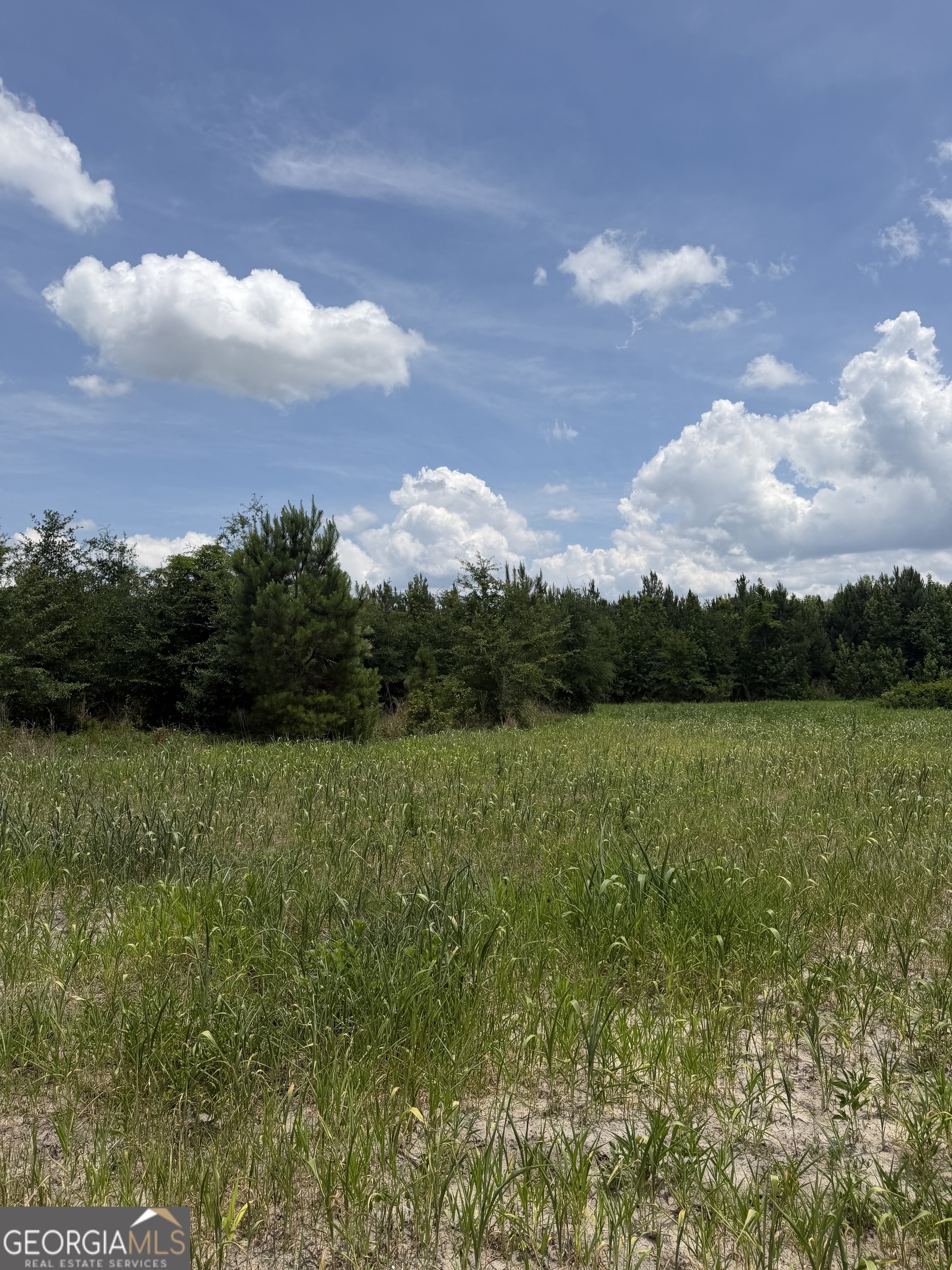 0 W. River Road Property Photo 8