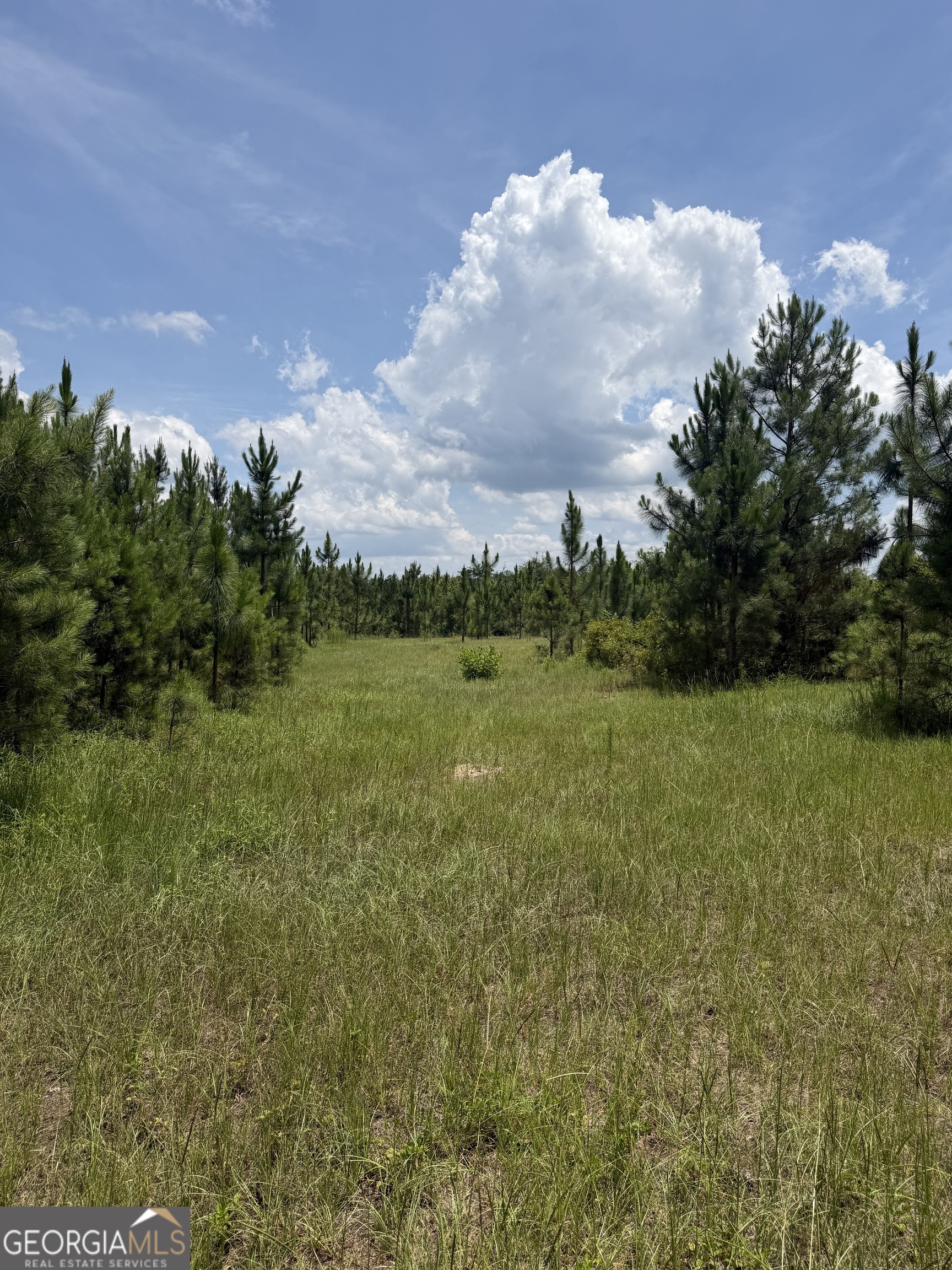 0 W. River Road Property Photo 10
