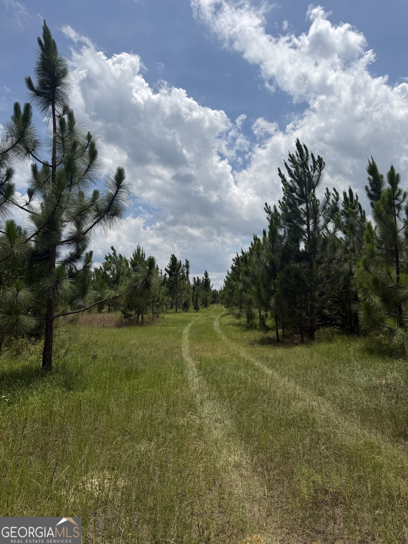 0 W. River Road Property Photo 15