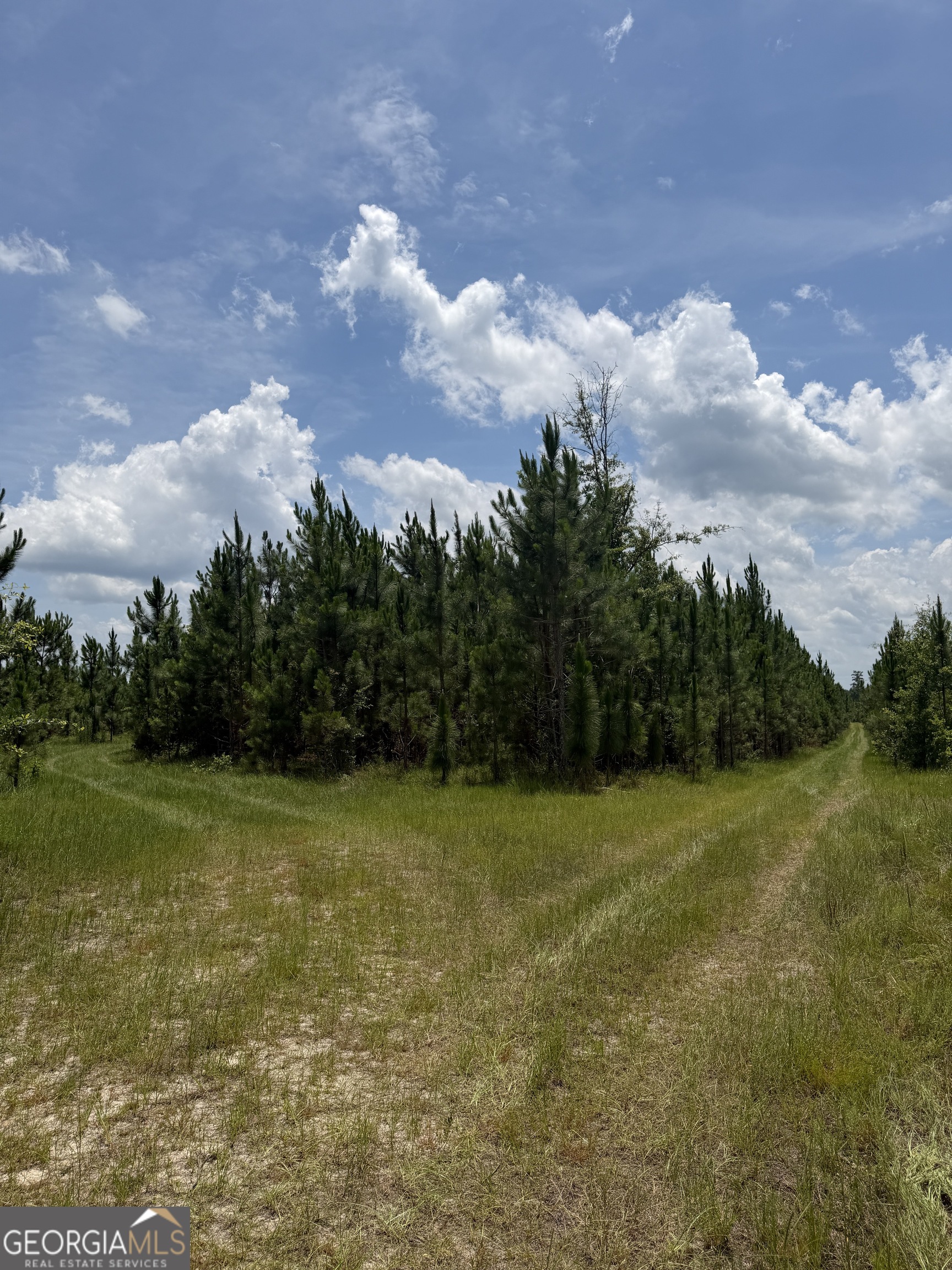0 W. River Road Property Photo 18