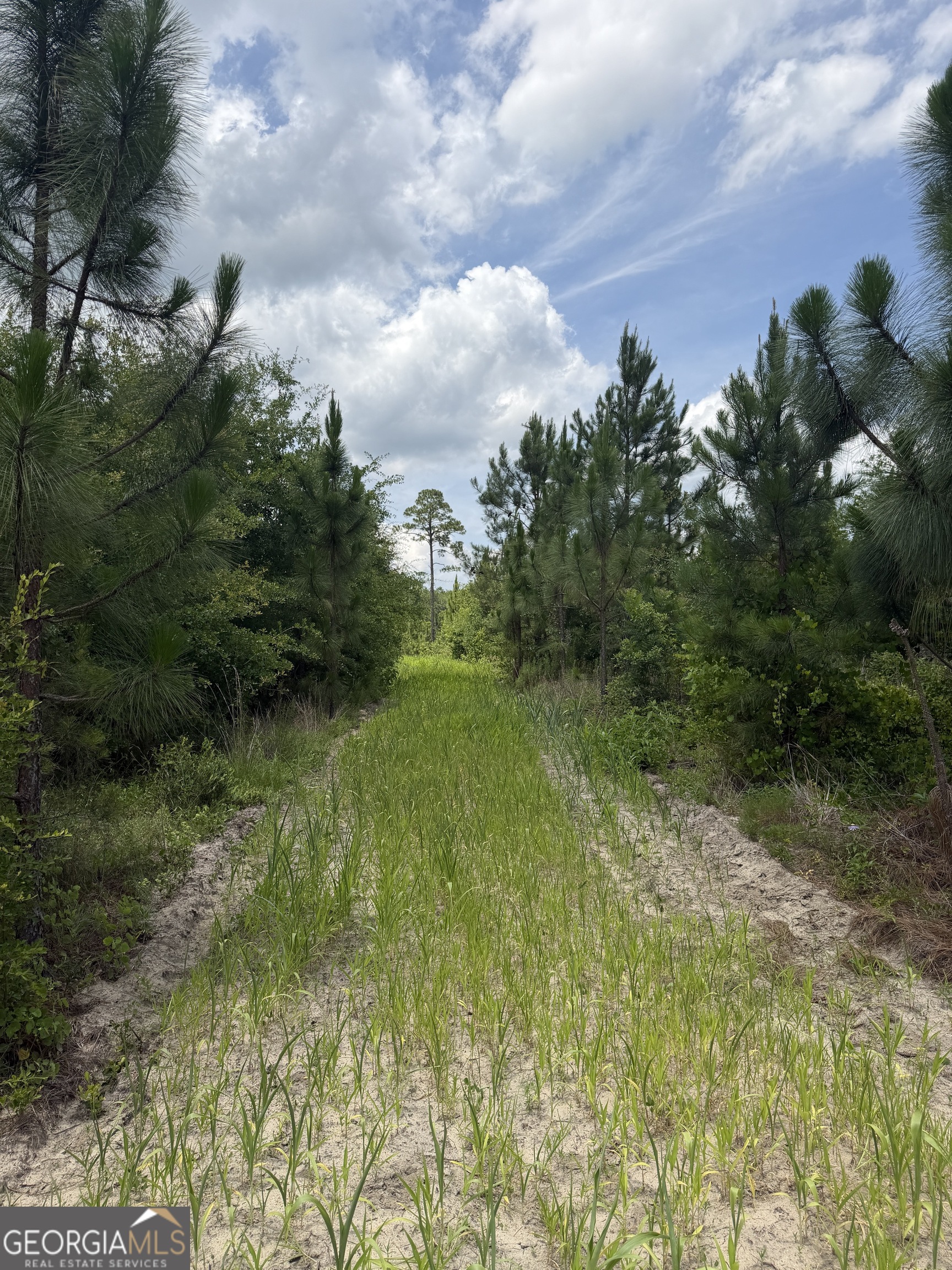 0 W. River Road Property Photo 19