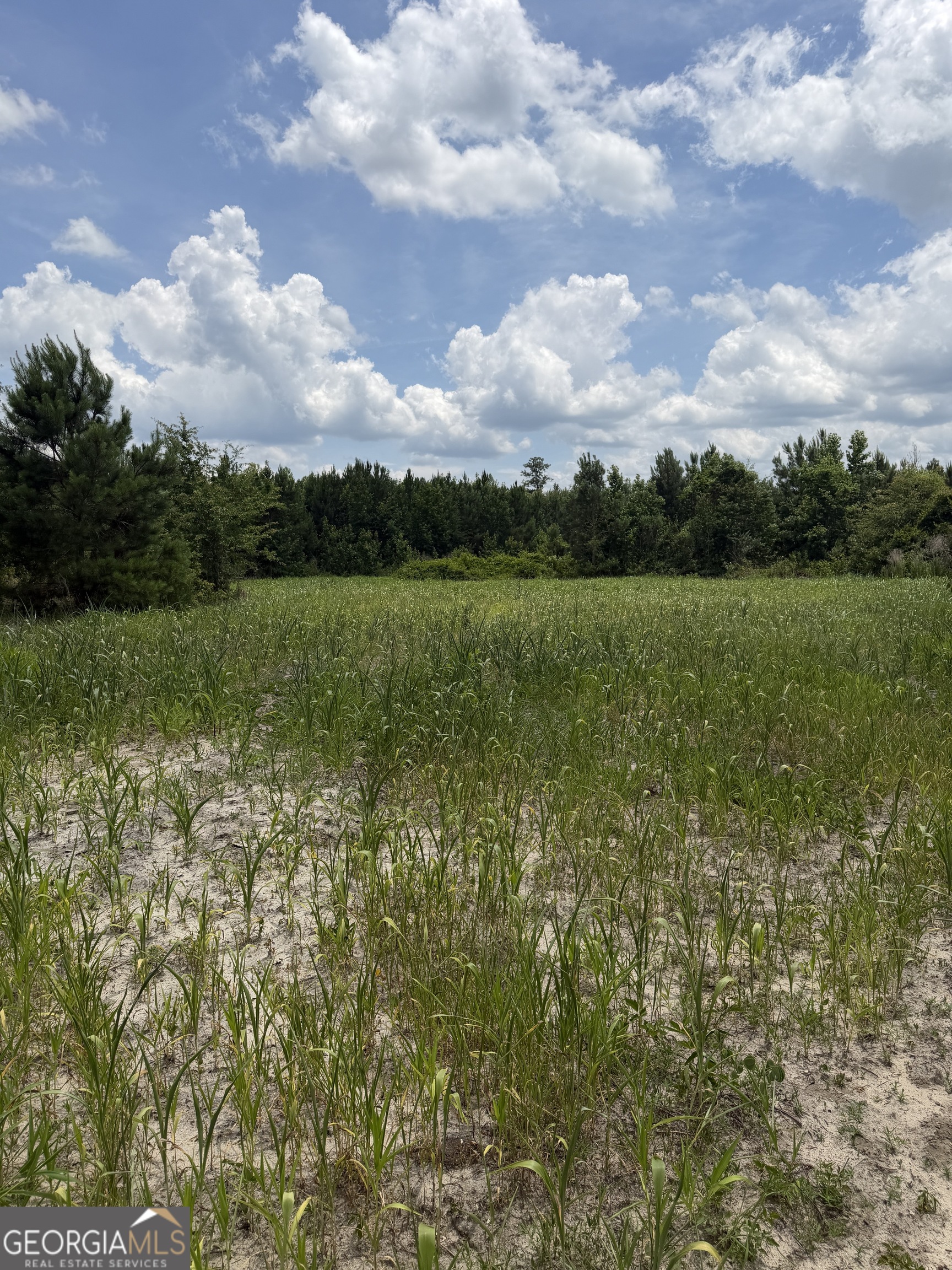 0 W. River Road Property Photo 23