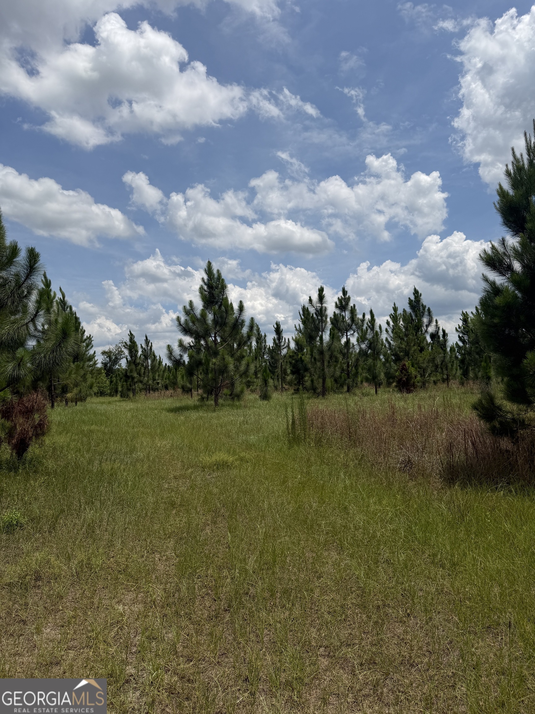 0 W. River Road Property Photo 25