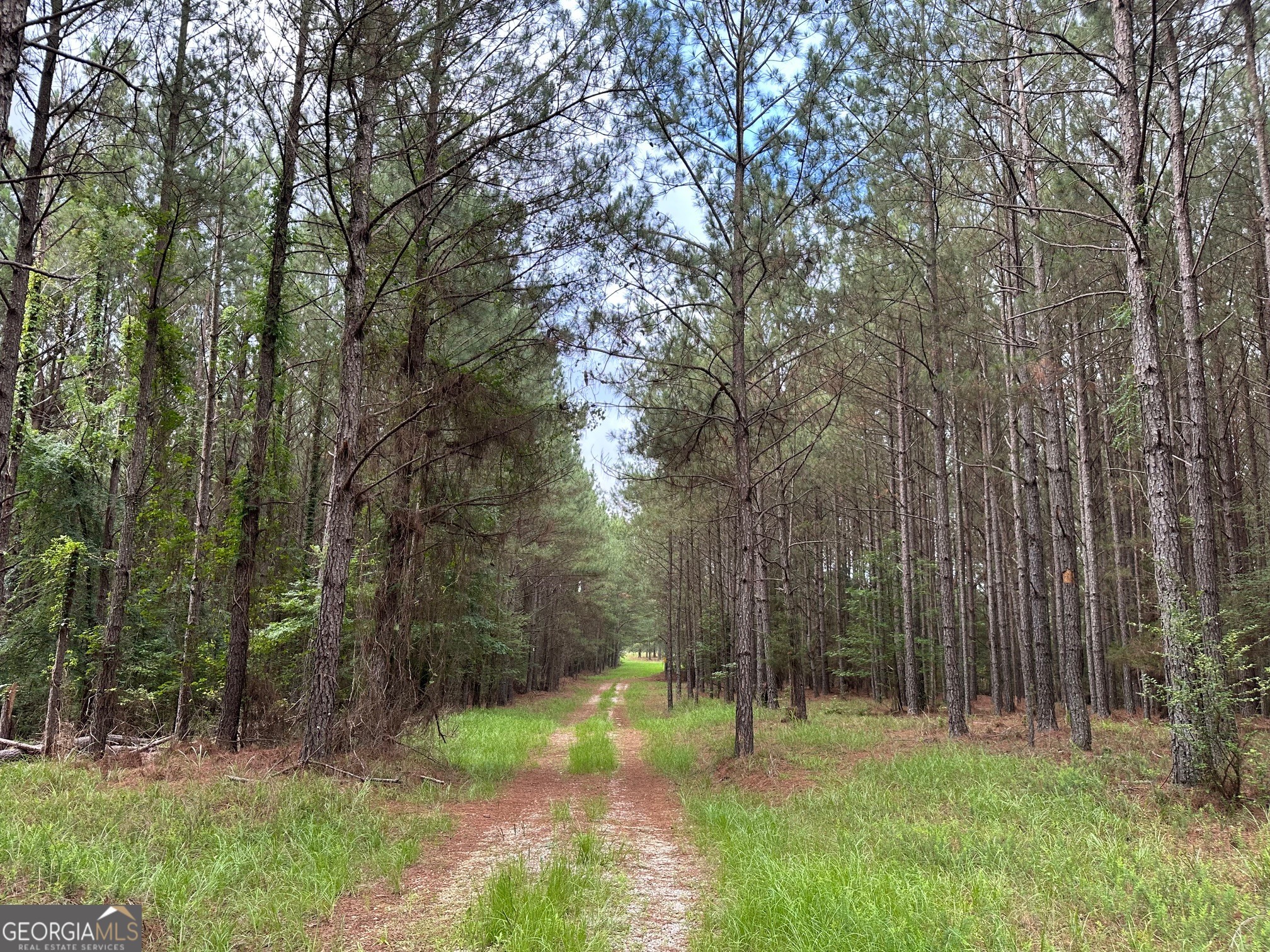 3330 Callaway Road Property Photo 63