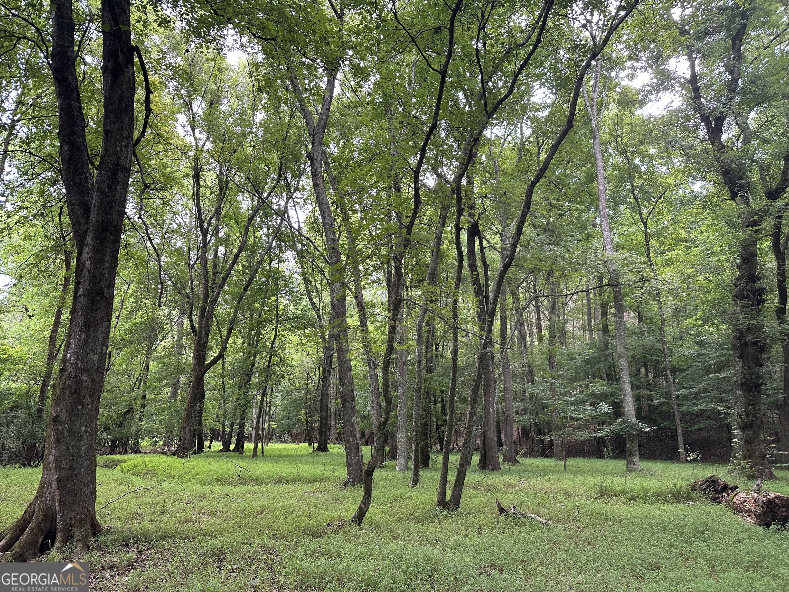 3330 Callaway Road Property Photo 65